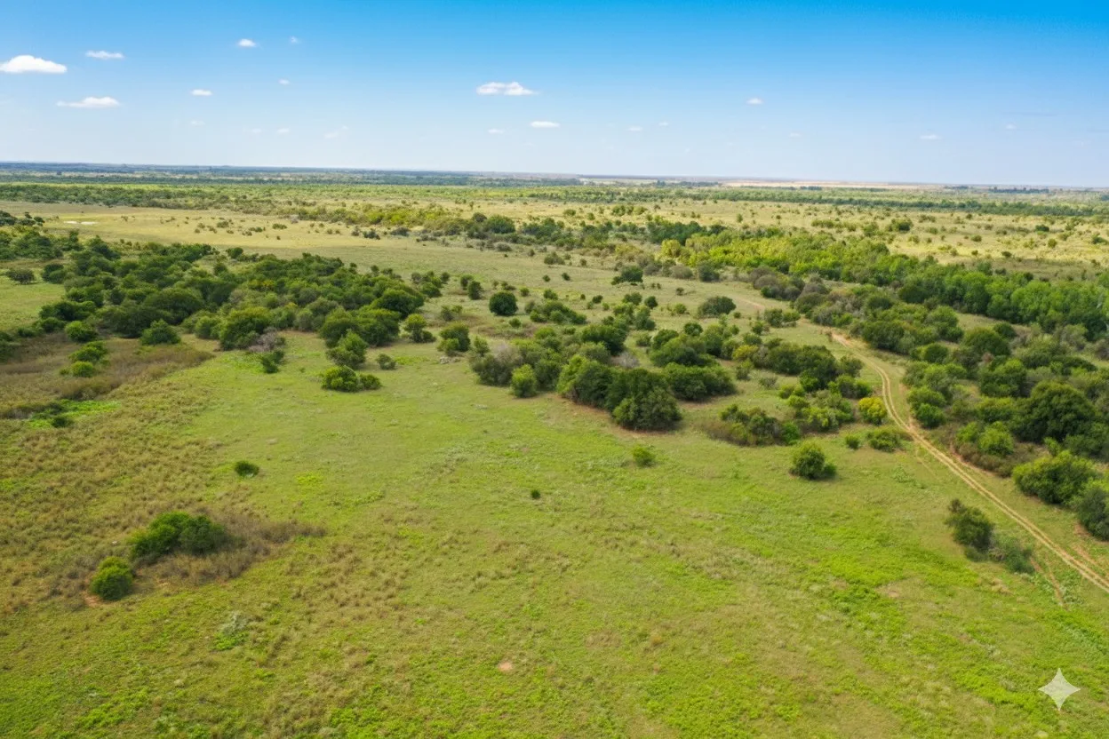 Improved Land For Sale in Wilbarger County , 10157 N CR 129, Harrold, Texas 76364, 0, 0, Garage spaces, 0 Sqft, built in 0, mls#21352663, Real Estate Agent in Harrold, Homes For Sale in Wilbarger county, Homes For Sale in Harrold, Realtor in Harrold Texas, Real Estate Brokerage Independent Realty Texas, Luminita Cordes Realtor