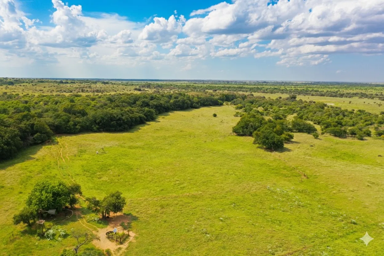 Improved Land For Sale in Wilbarger County , 10157 N CR 129, Harrold, Texas 76364, 0, 0, Garage spaces, 0 Sqft, built in 0, mls#21352663, Real Estate Agent in Harrold, Homes For Sale in Wilbarger county, Homes For Sale in Harrold, Realtor in Harrold Texas, Real Estate Brokerage Independent Realty Texas, Luminita Cordes Realtor