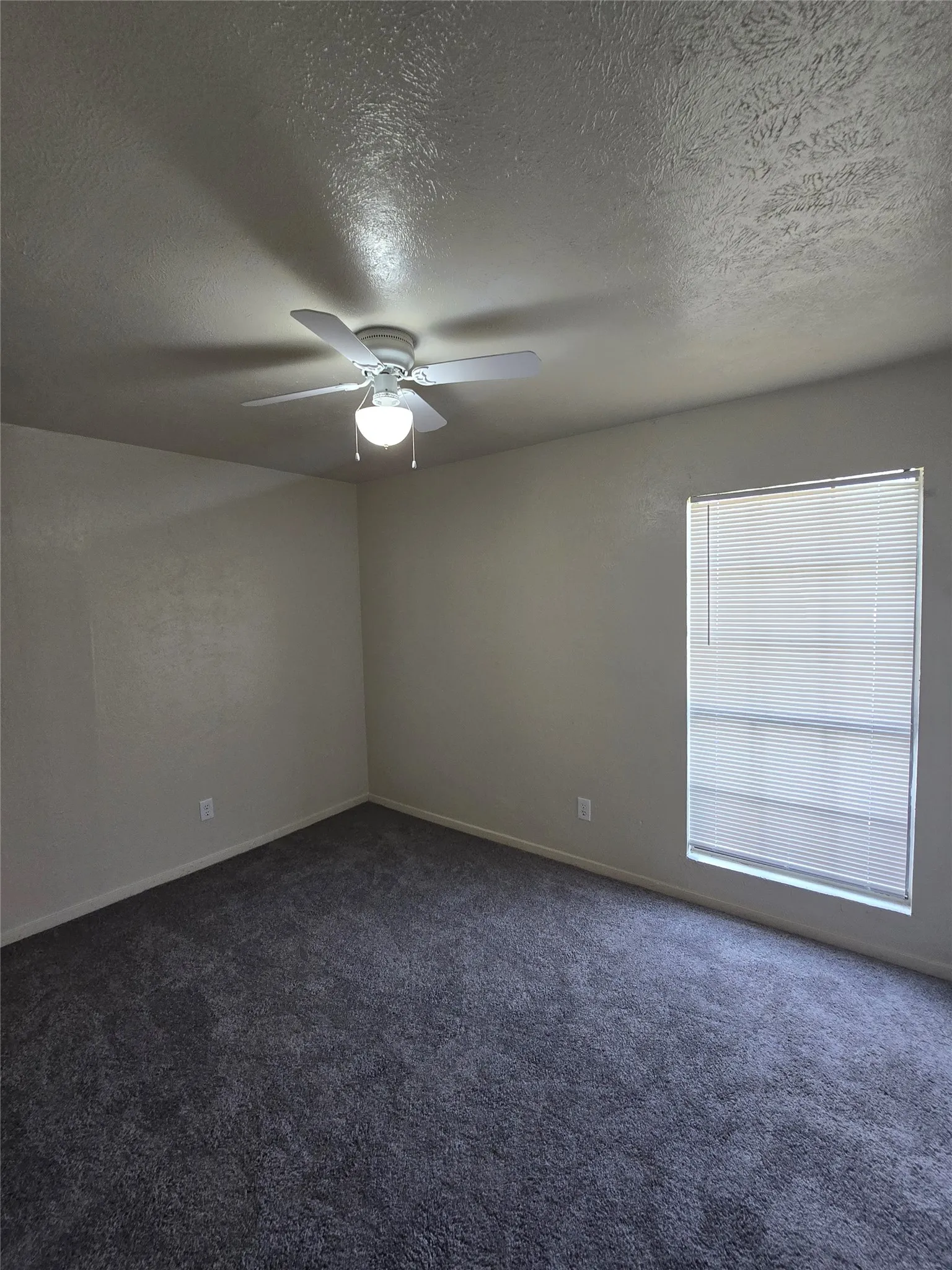 Single Family Residence For Rent in Dallas County , 7130 Hedge Drive, Dallas, Texas 75249, 3 Bedroom, 2 Bathroom, 2 Garage spaces, 1,365 Sqft, built in 1977, mls#21352672, Real Estate Agent in Dallas, Homes For Rent in Dallas county, Homes For Rent in Dallas, Realtor in Dallas Texas, Real Estate Brokerage Independent Realty Texas, Luminita Cordes Realtor