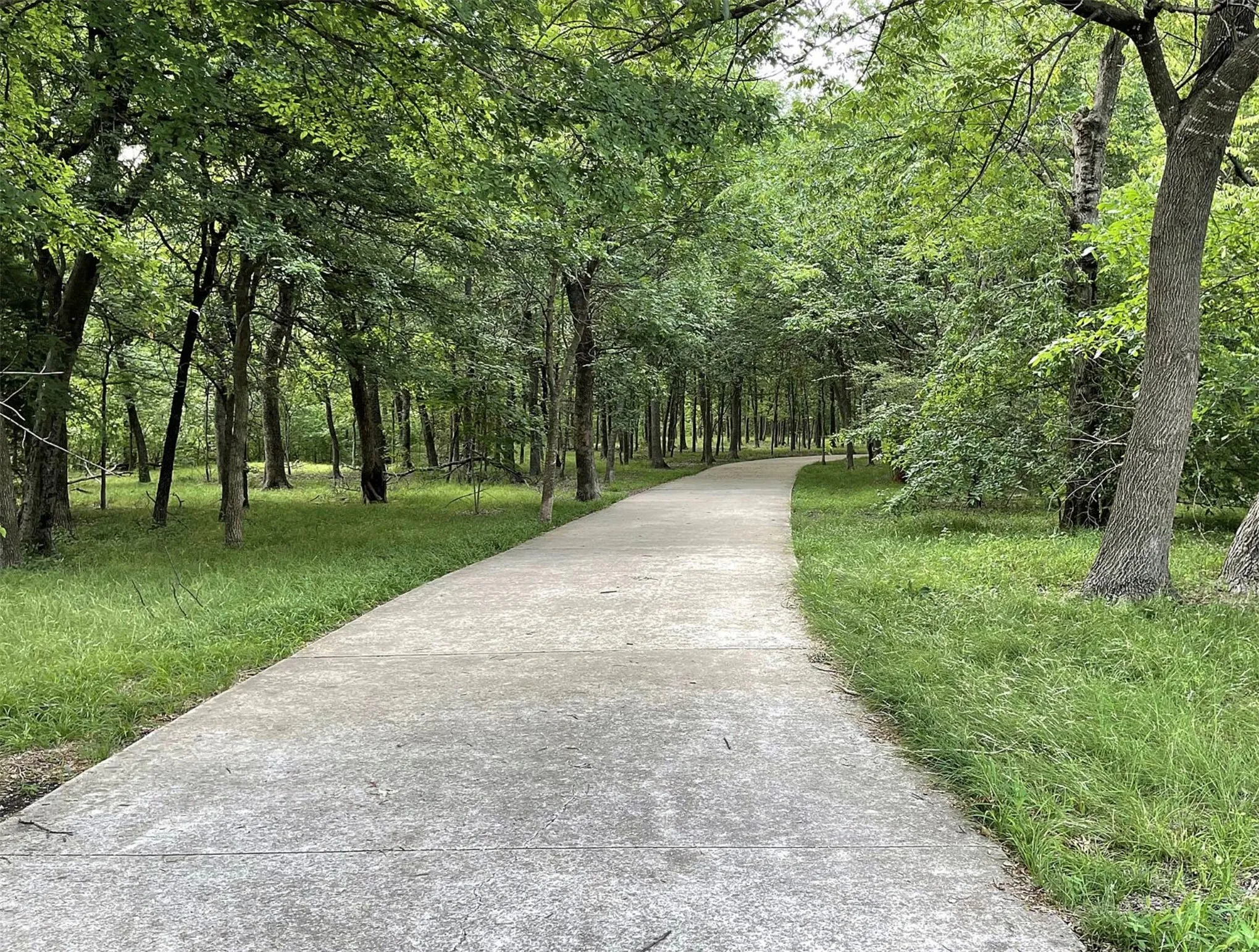 Paved pathway bordered by abundant mature trees and natural green landscaping