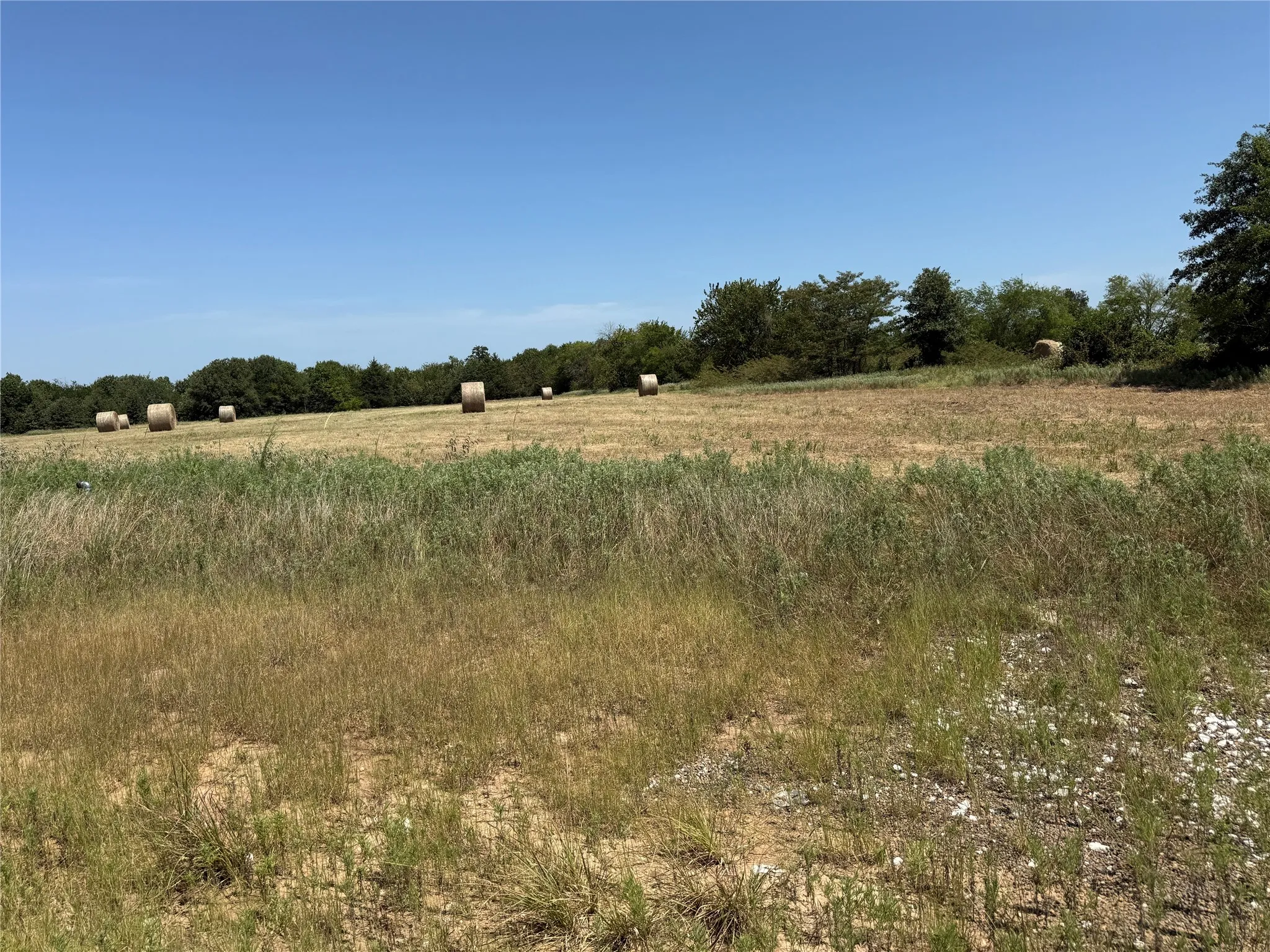 Unimproved Land For Sale in Hopkins County , XX County Road 3512, Dike, Texas 75437, 0, 0, Garage spaces, 0 Sqft, built in 0, Price $139,900, mls#21352737, Real Estate Agent in Dike, Homes For Sale in Hopkins county, Homes For Sale in Dike, Realtor in Dike Texas, Real Estate Brokerage Independent Realty Texas, Luminita Cordes Realtor