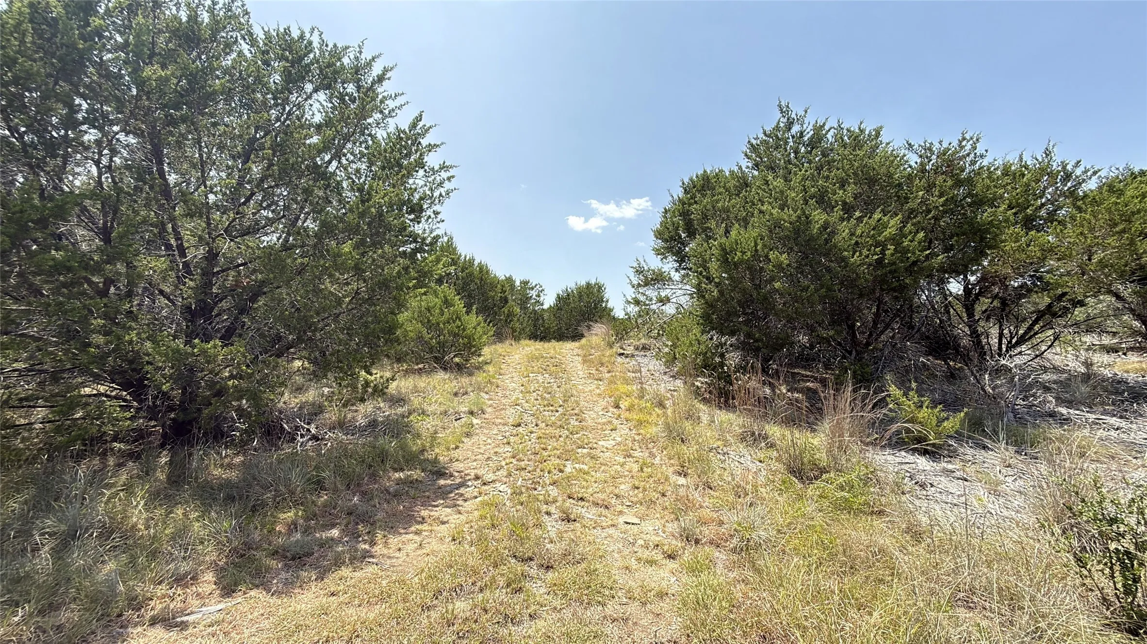 Unimproved Land For Sale in Hamilton County , TBD S Hwy 281, Evant, Texas 76525, 0, 0, Garage spaces, 0 Sqft, built in 0, mls#21352790, Real Estate Agent in Evant, Homes For Sale in Hamilton county, Homes For Sale in Evant, Realtor in Evant Texas, Real Estate Brokerage Independent Realty Texas, Luminita Cordes Realtor