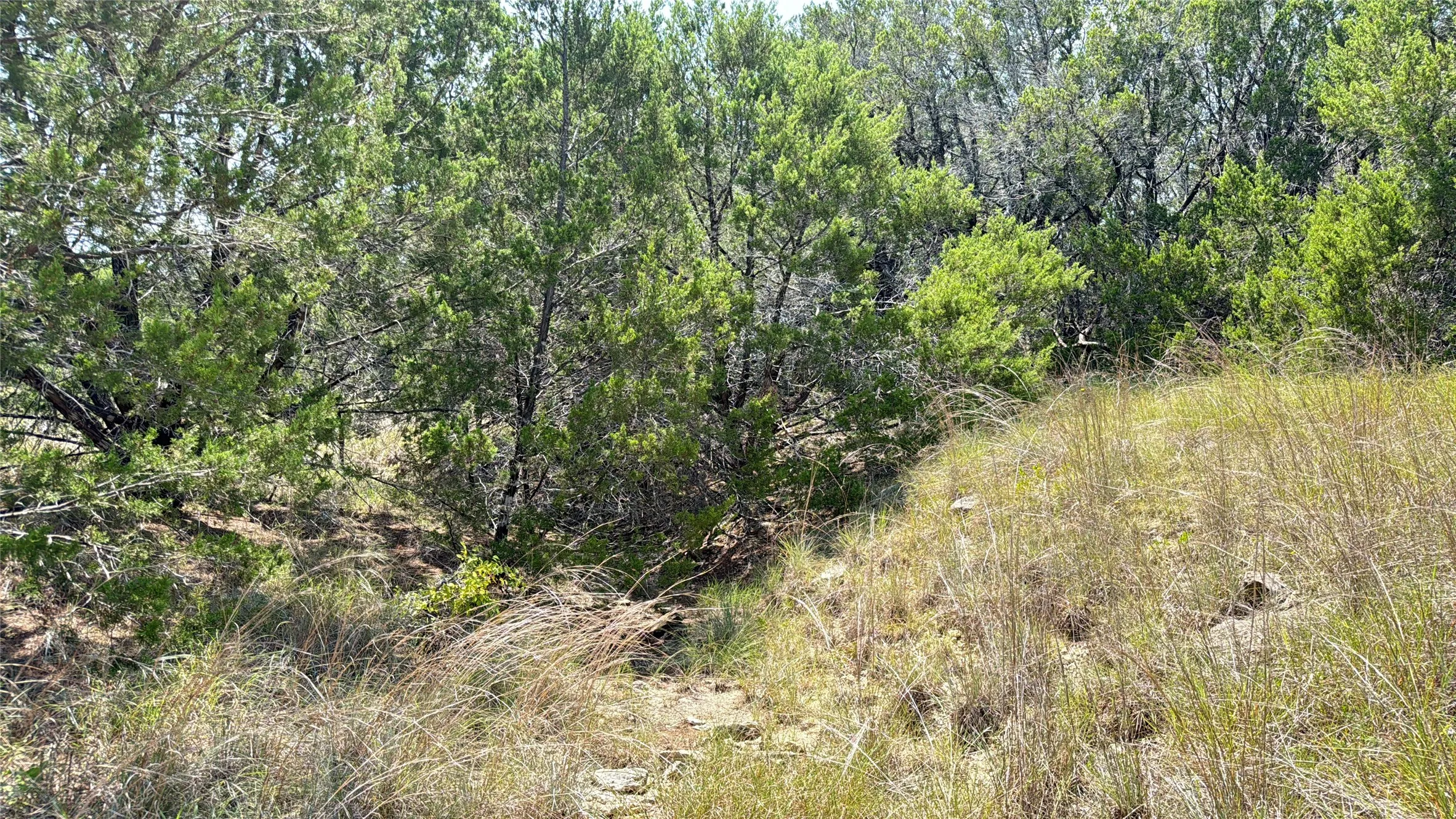 Unimproved Land For Sale in Hamilton County , TBD S Hwy 281, Evant, Texas 76525, 0, 0, Garage spaces, 0 Sqft, built in 0, mls#21352790, Real Estate Agent in Evant, Homes For Sale in Hamilton county, Homes For Sale in Evant, Realtor in Evant Texas, Real Estate Brokerage Independent Realty Texas, Luminita Cordes Realtor