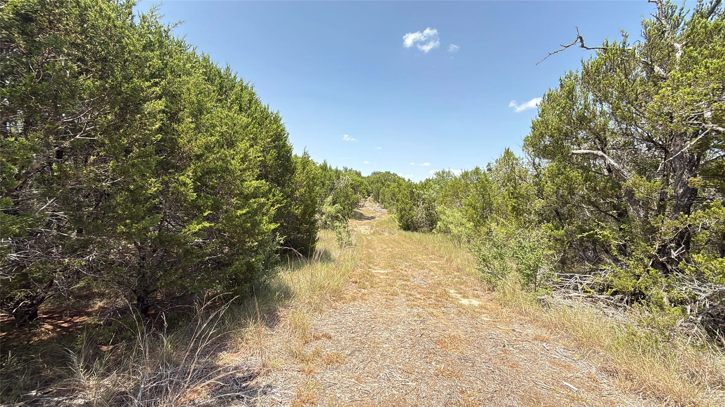 Unimproved Land For Sale in Hamilton County , TBD S Hwy 281, Evant, Texas 76525, 0, 0, Garage spaces, 0 Sqft, built in 0, mls#21352790, Real Estate Agent in Evant, Homes For Sale in Hamilton county, Homes For Sale in Evant, Realtor in Evant Texas, Real Estate Brokerage Independent Realty Texas, Luminita Cordes Realtor