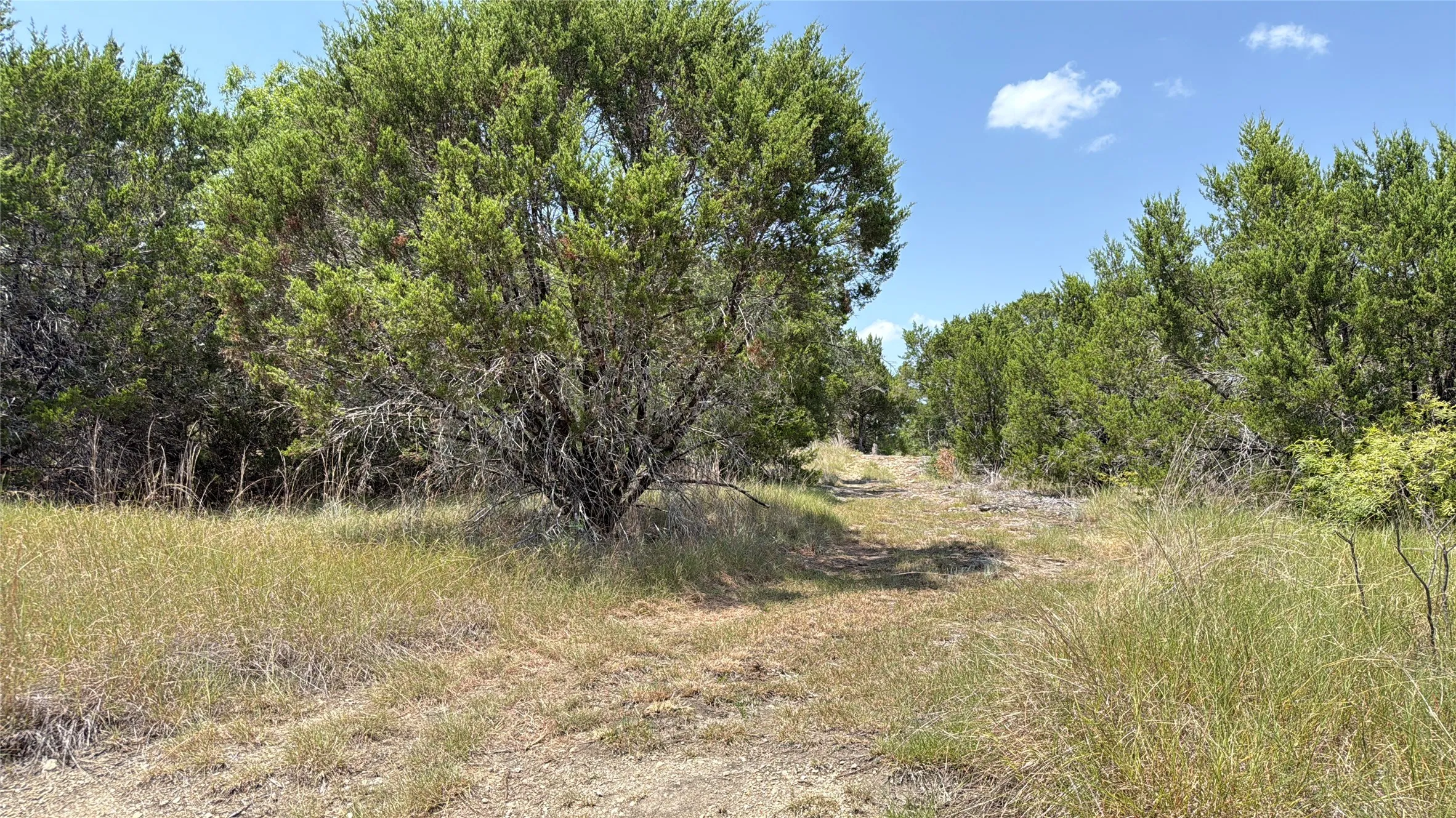 Unimproved Land For Sale in Hamilton County , TBD S Hwy 281, Evant, Texas 76525, 0, 0, Garage spaces, 0 Sqft, built in 0, mls#21352790, Real Estate Agent in Evant, Homes For Sale in Hamilton county, Homes For Sale in Evant, Realtor in Evant Texas, Real Estate Brokerage Independent Realty Texas, Luminita Cordes Realtor