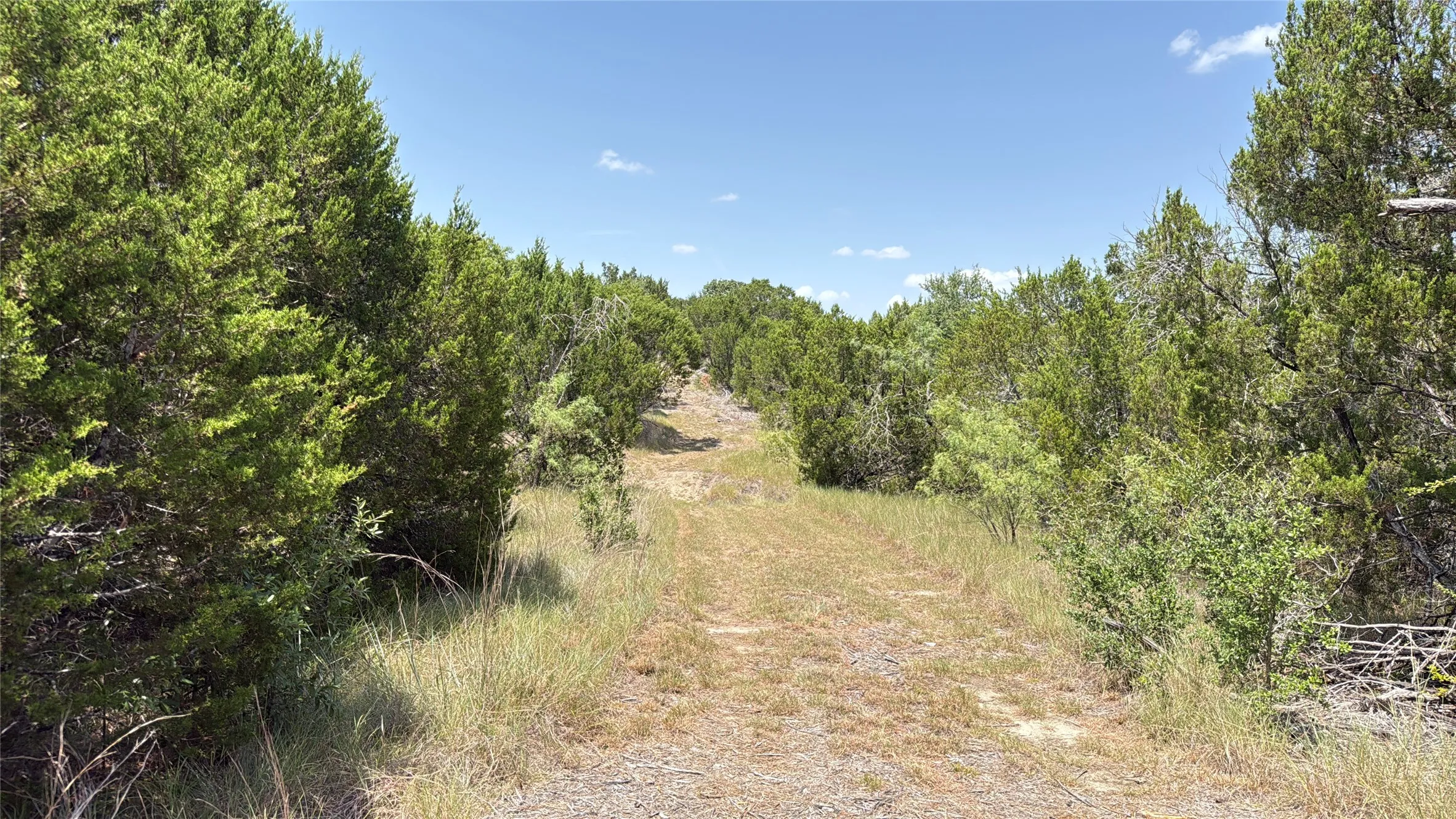 Unimproved Land For Sale in Hamilton County , TBD S Hwy 281, Evant, Texas 76525, 0, 0, Garage spaces, 0 Sqft, built in 0, mls#21352790, Real Estate Agent in Evant, Homes For Sale in Hamilton county, Homes For Sale in Evant, Realtor in Evant Texas, Real Estate Brokerage Independent Realty Texas, Luminita Cordes Realtor