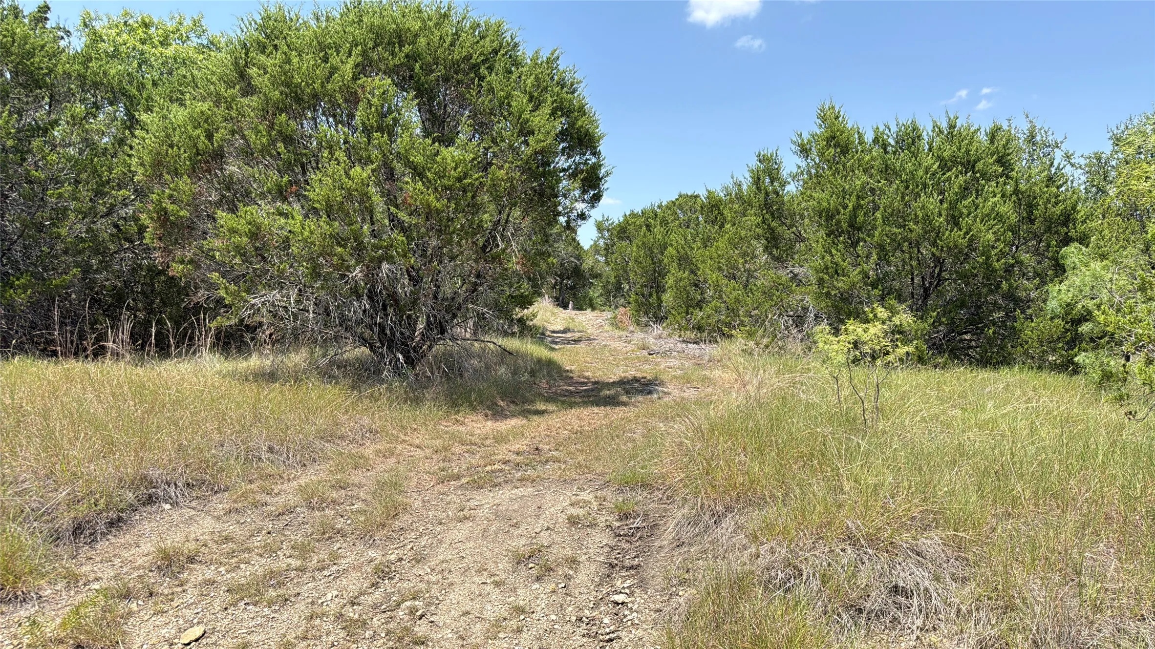 Unimproved Land For Sale in Hamilton County , TBD S Hwy 281, Evant, Texas 76525, 0, 0, Garage spaces, 0 Sqft, built in 0, mls#21352790, Real Estate Agent in Evant, Homes For Sale in Hamilton county, Homes For Sale in Evant, Realtor in Evant Texas, Real Estate Brokerage Independent Realty Texas, Luminita Cordes Realtor