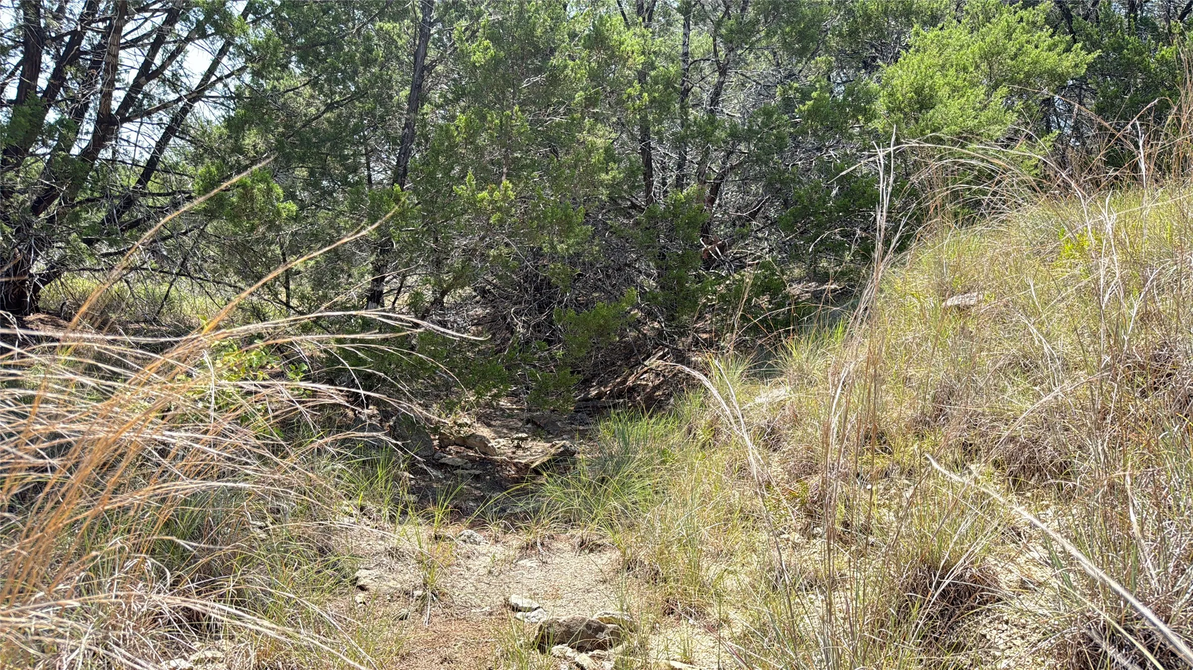 Unimproved Land For Sale in Hamilton County , TBD S Hwy 281, Evant, Texas 76525, 0, 0, Garage spaces, 0 Sqft, built in 0, mls#21352790, Real Estate Agent in Evant, Homes For Sale in Hamilton county, Homes For Sale in Evant, Realtor in Evant Texas, Real Estate Brokerage Independent Realty Texas, Luminita Cordes Realtor
