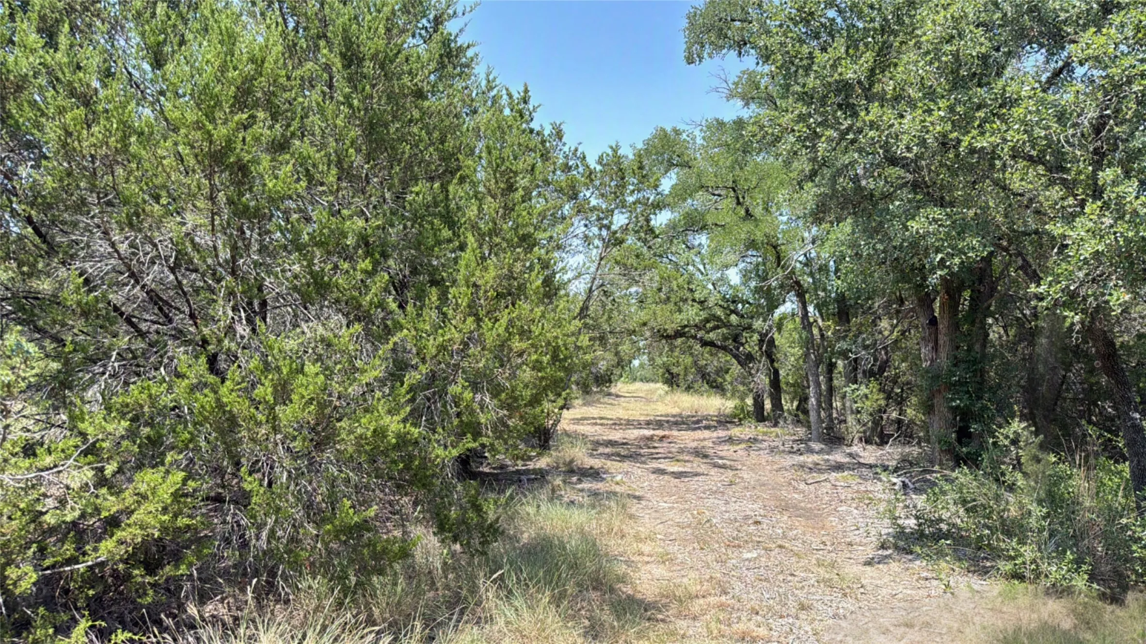 Unimproved Land For Sale in Hamilton County , TBD S Hwy 281, Evant, Texas 76525, 0, 0, Garage spaces, 0 Sqft, built in 0, mls#21352790, Real Estate Agent in Evant, Homes For Sale in Hamilton county, Homes For Sale in Evant, Realtor in Evant Texas, Real Estate Brokerage Independent Realty Texas, Luminita Cordes Realtor