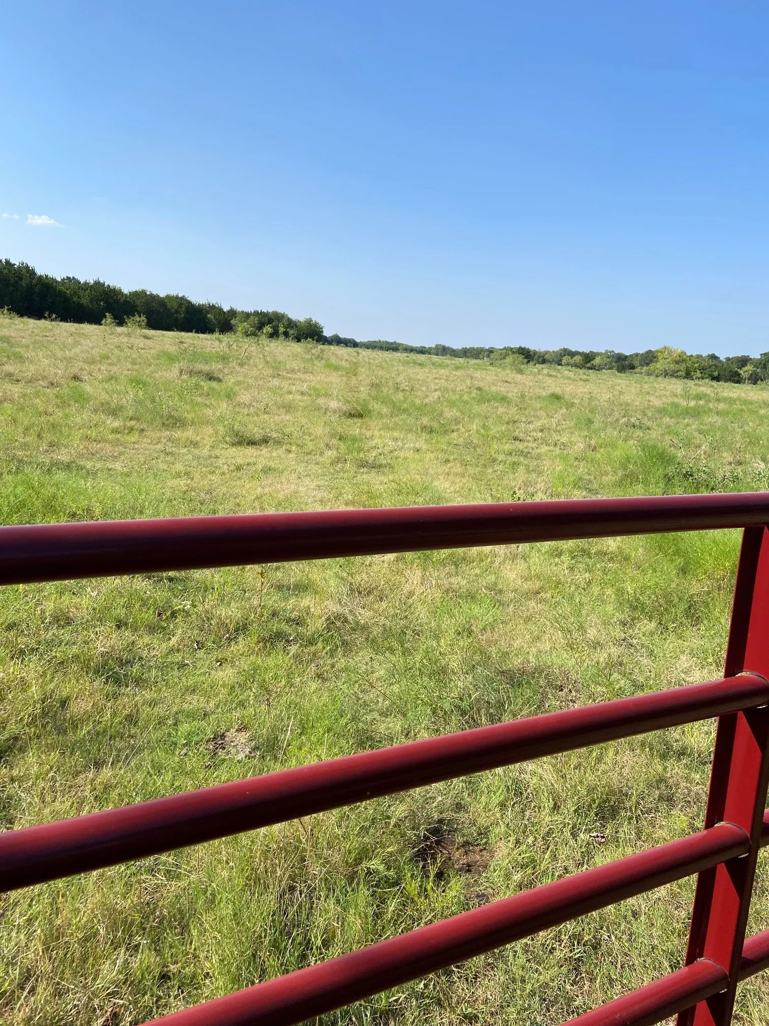 Ranch For Sale in Hill County , TBD HCR 1195 Road, Blum, Texas 76627, 0, 0, Garage spaces, 0 Sqft, built in 0, mls#21350157, Real Estate Agent in Blum, Homes For Sale in Hill county, Homes For Sale in Blum, Realtor in Blum Texas, Real Estate Brokerage Independent Realty Texas, Luminita Cordes Realtor