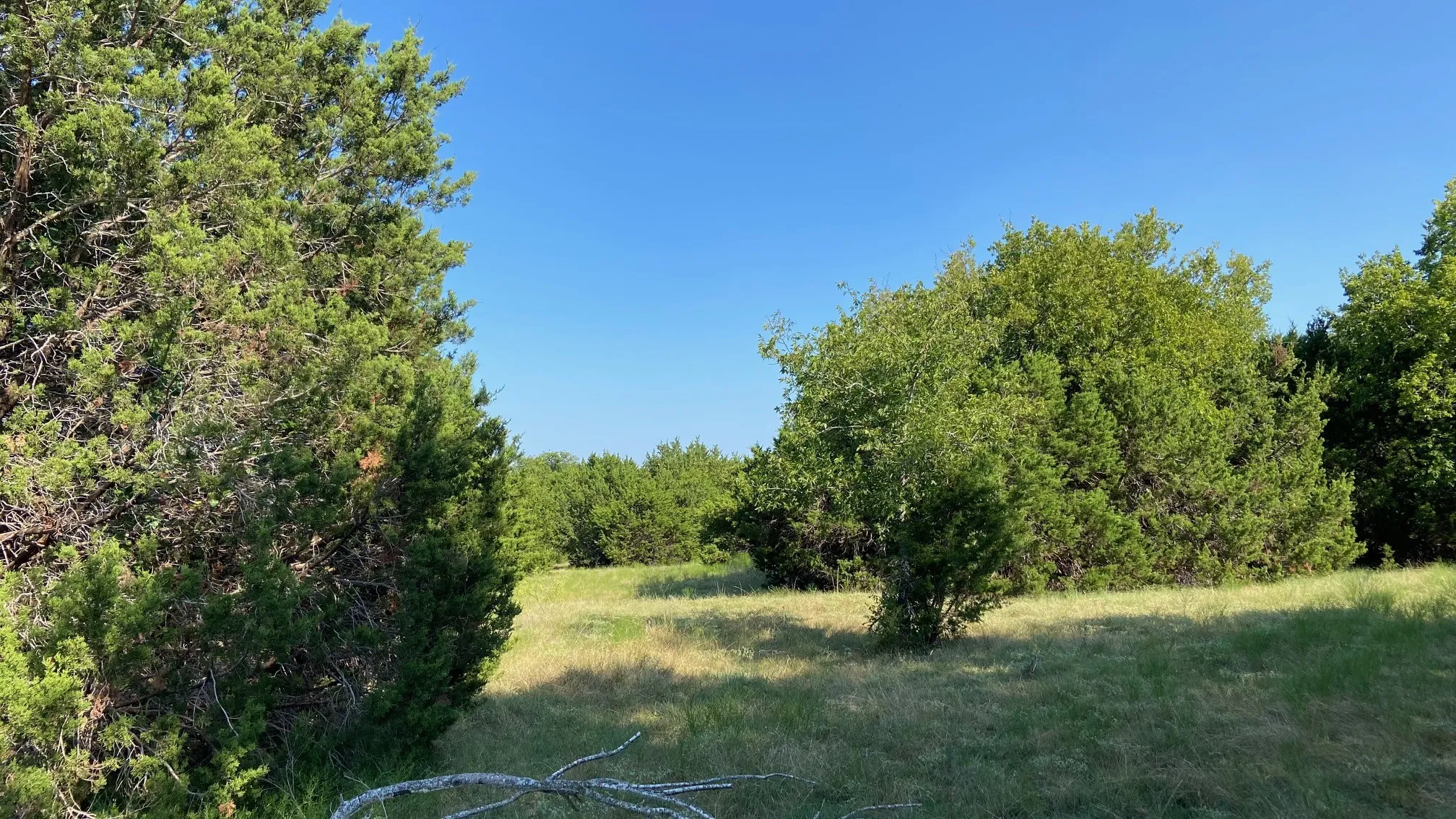 Ranch For Sale in Hill County , TBD HCR 1195 Road, Blum, Texas 76627, 0, 0, Garage spaces, 0 Sqft, built in 0, mls#21350157, Real Estate Agent in Blum, Homes For Sale in Hill county, Homes For Sale in Blum, Realtor in Blum Texas, Real Estate Brokerage Independent Realty Texas, Luminita Cordes Realtor