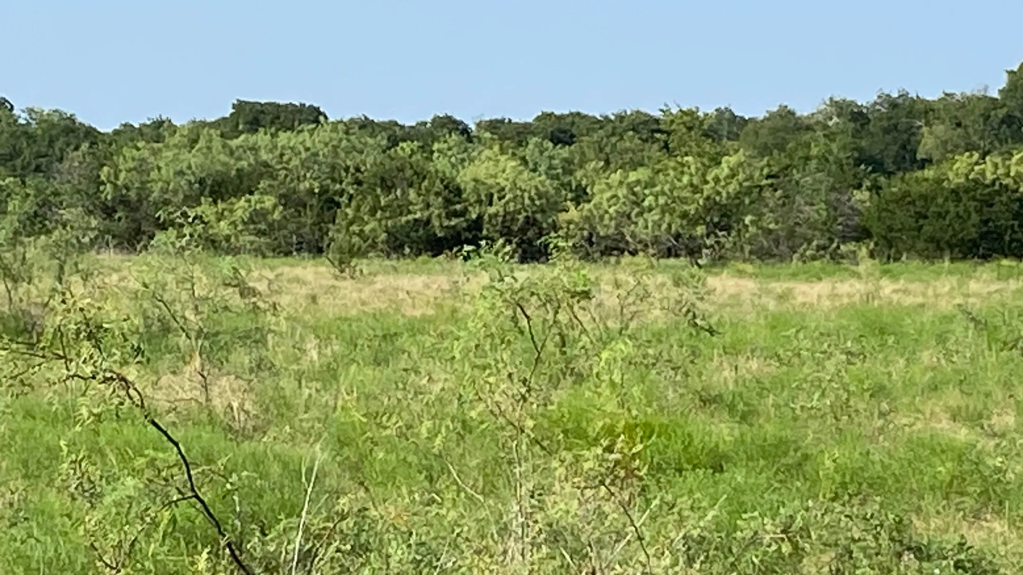 Ranch For Sale in Hill County , TBD HCR 1195 Road, Blum, Texas 76627, 0, 0, Garage spaces, 0 Sqft, built in 0, mls#21350157, Real Estate Agent in Blum, Homes For Sale in Hill county, Homes For Sale in Blum, Realtor in Blum Texas, Real Estate Brokerage Independent Realty Texas, Luminita Cordes Realtor