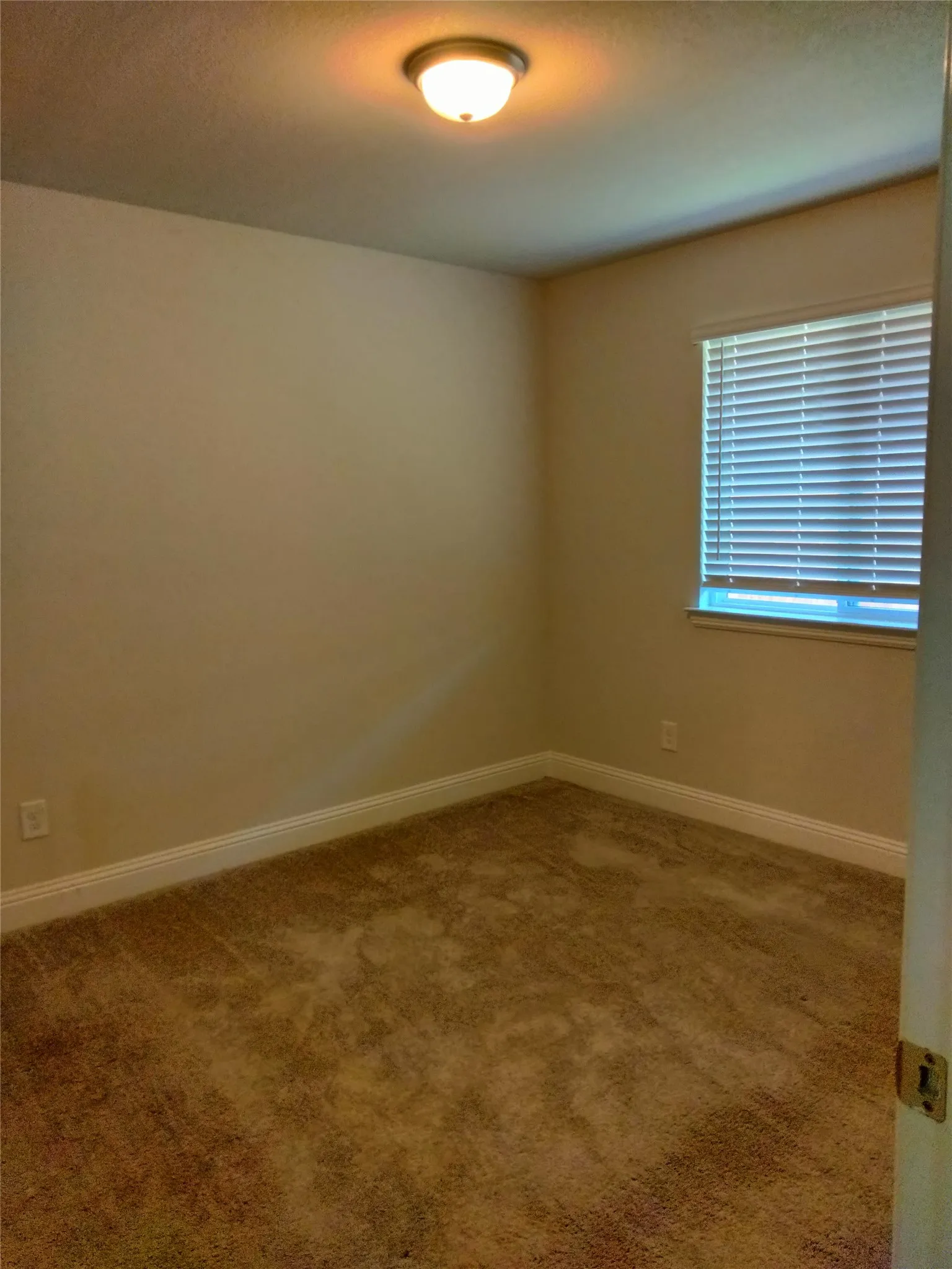 Neutral-toned walls complement the brown patterned carpet flooring