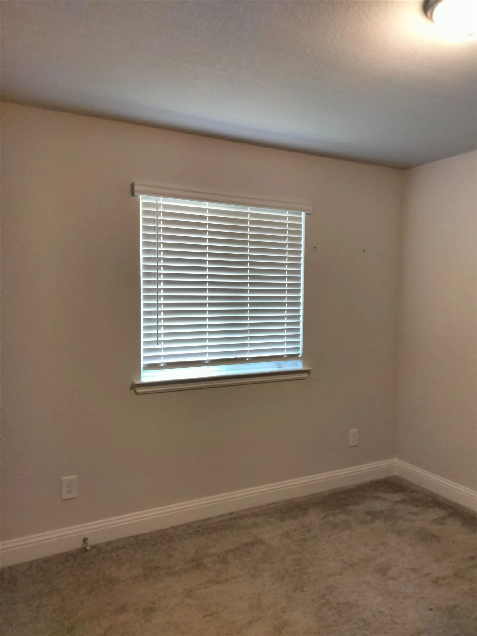 Window with horizontal blinds, neutral wall paint, and carpeted flooring