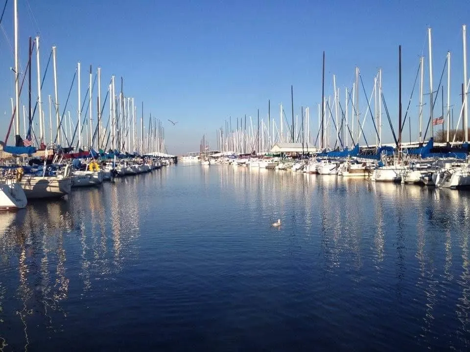 Nearby Lake Grapevine Marina with numerous sailboats docked along both sides of a waterway