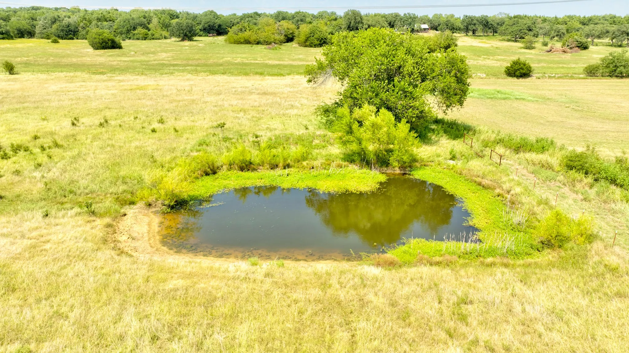 Unimproved Land For Sale in Cooke County , TBD County Rd 203, Collinsville, Texas 76233, 0, 0, Garage spaces, 0 Sqft, built in 2023, mls#21351888, Real Estate Agent in Collinsville, Homes For Sale in Cooke county, Homes For Sale in Collinsville, Realtor in Collinsville Texas, Real Estate Brokerage Independent Realty Texas, Luminita Cordes Realtor