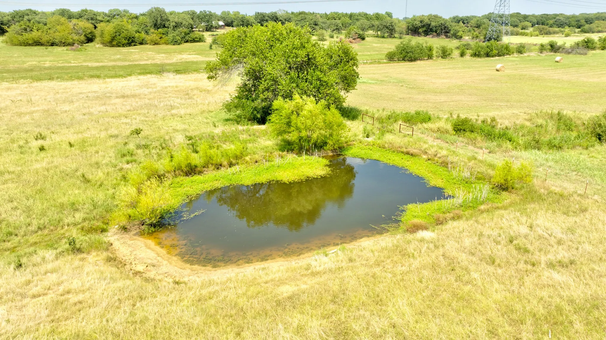 Unimproved Land For Sale in Cooke County , TBD County Rd 203, Collinsville, Texas 76233, 0, 0, Garage spaces, 0 Sqft, built in 2023, mls#21351888, Real Estate Agent in Collinsville, Homes For Sale in Cooke county, Homes For Sale in Collinsville, Realtor in Collinsville Texas, Real Estate Brokerage Independent Realty Texas, Luminita Cordes Realtor