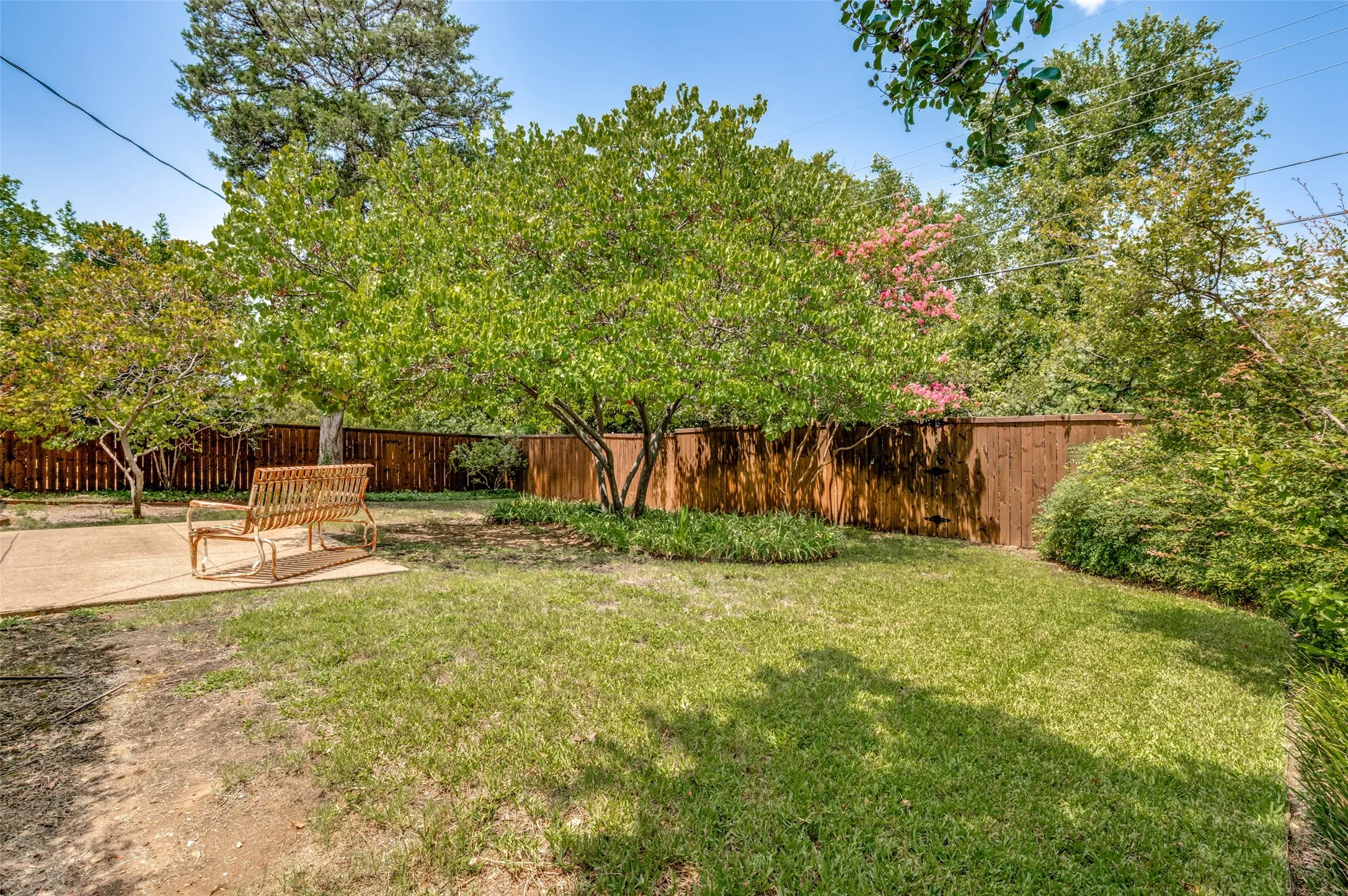 Fenced backyard featuring a manicured lawn, established trees, and concrete patio