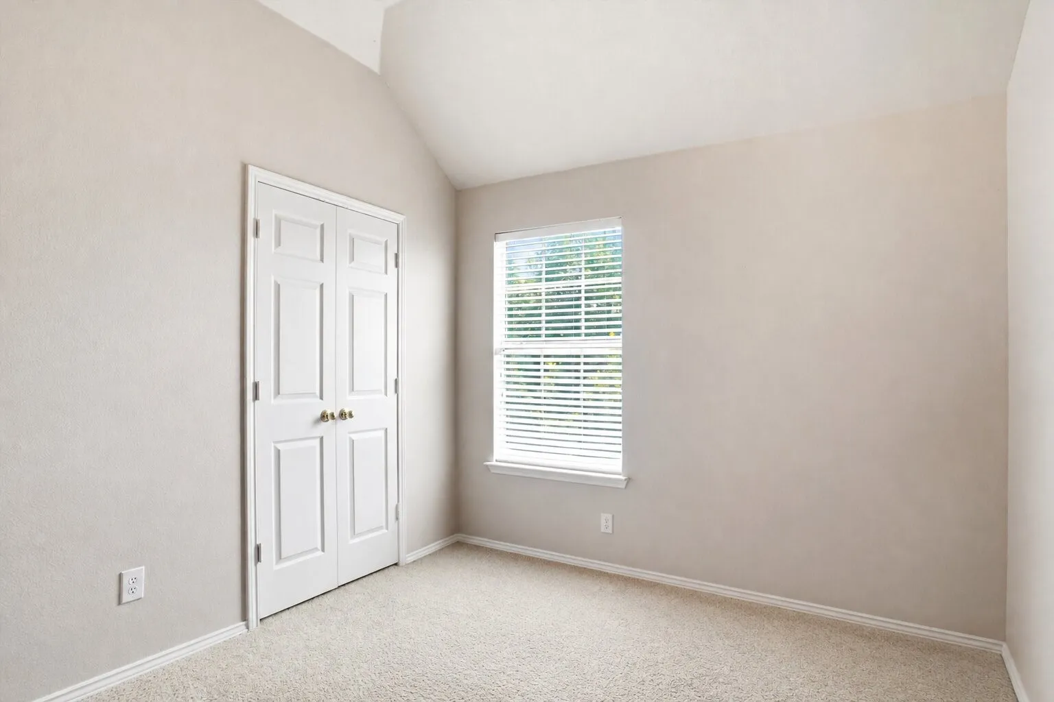 Secondary bedroom featuring a vaulted ceiling, ample natural light, and a spacious closet.