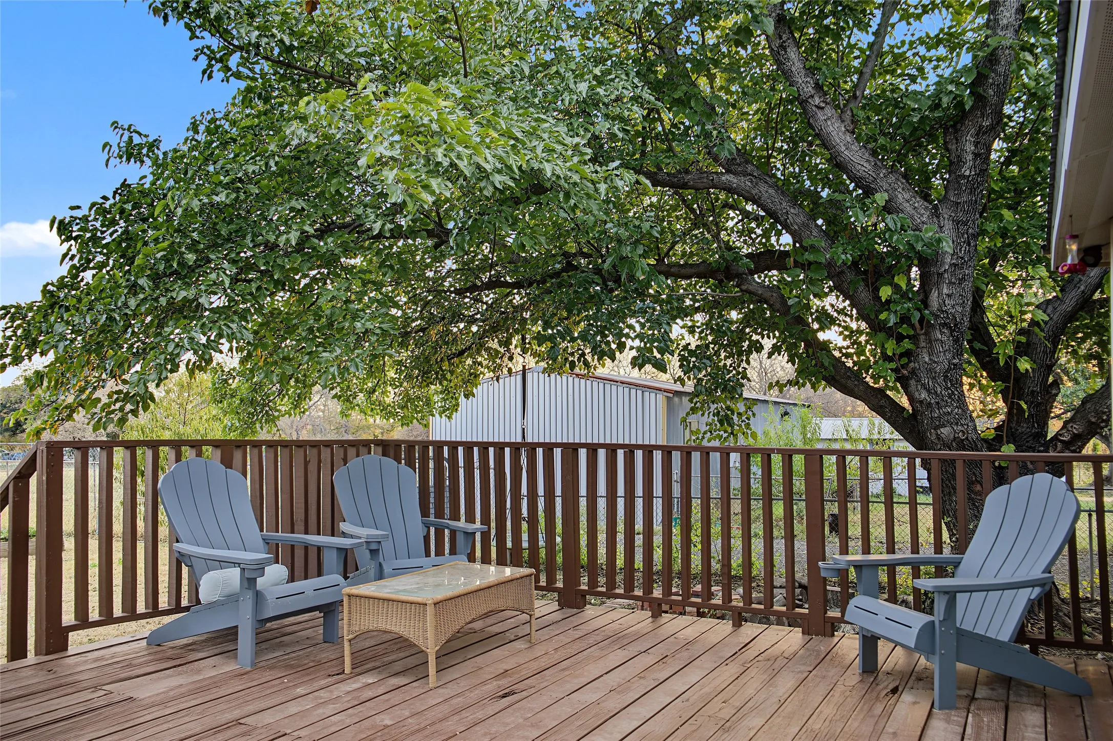 Expansive wood deck with a full wood railing, framed by a mature tree