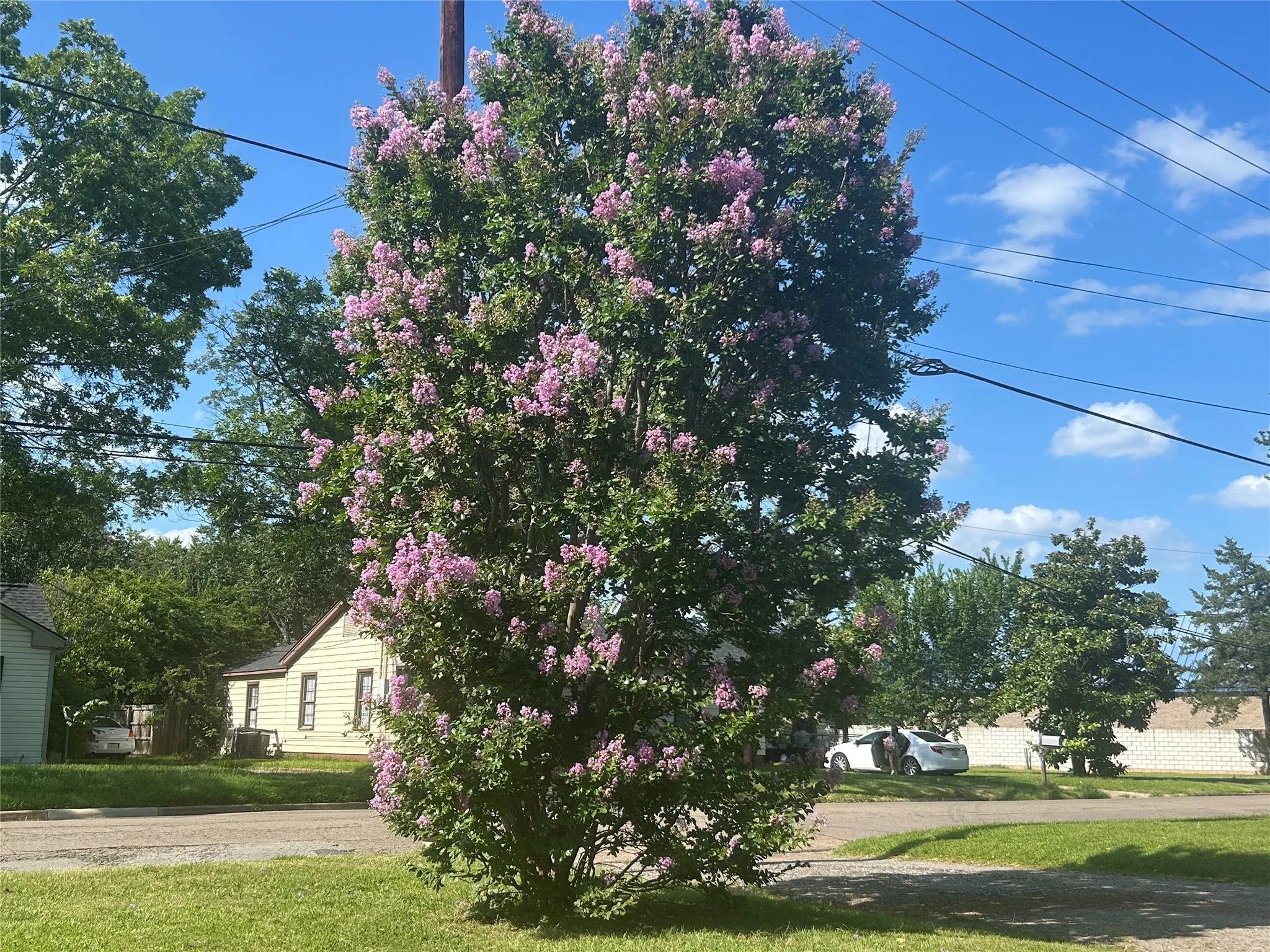 Single Family Residence For Sale in Hopkins County , 118 Kyle Street, Sulphur Springs, Texas 75482, 2 Bedroom, 2 Bathroom, Garage spaces, 1,390 Sqft, built in 1935, mls#21353152, Real Estate Agent in Sulphur Springs, Homes For Sale in Hopkins county, Homes For Sale in Sulphur Springs, Realtor in Sulphur Springs Texas, Real Estate Brokerage Independent Realty Texas, Luminita Cordes Realtor