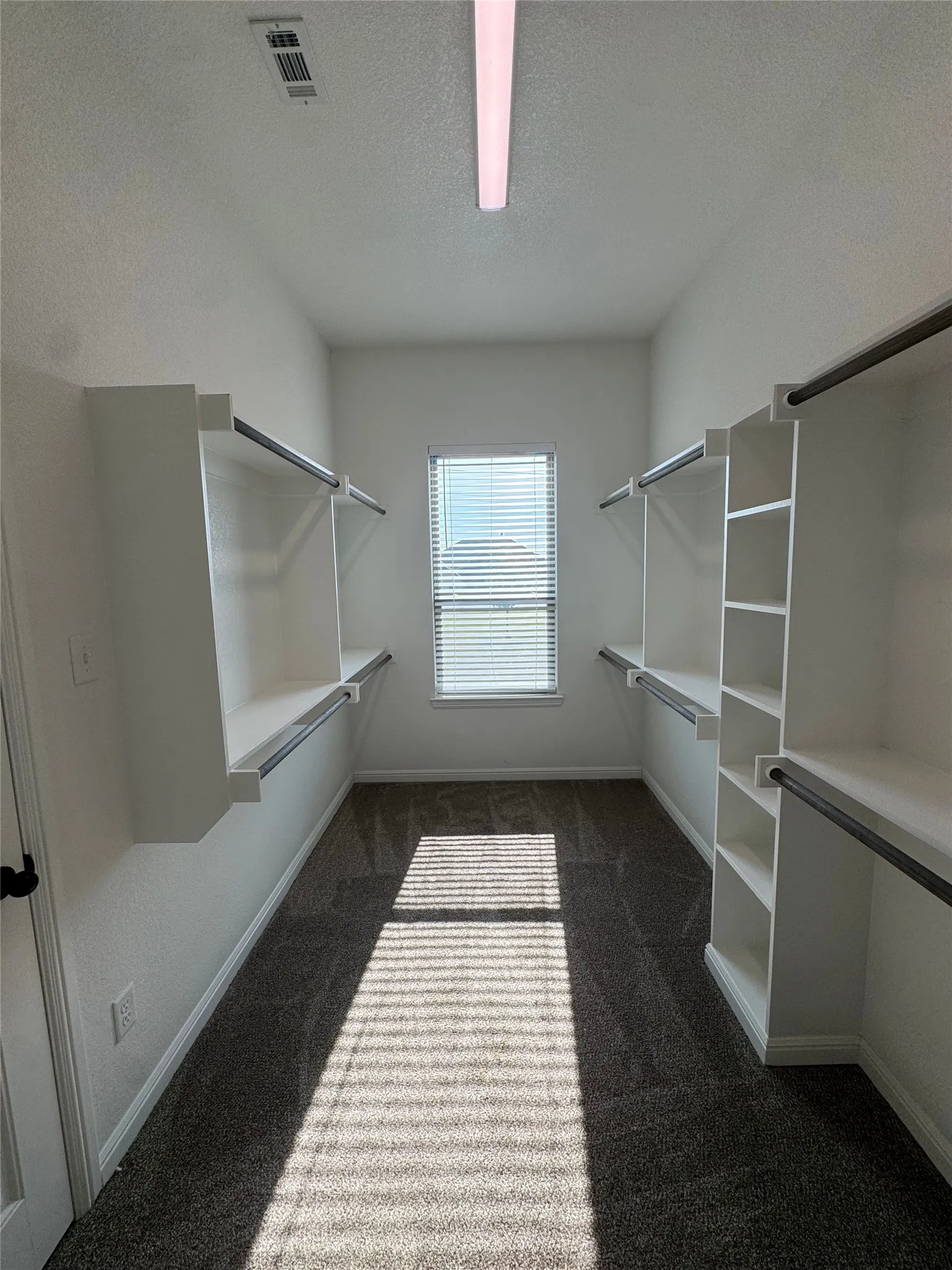 Walk-in closet with built-in shelving, hanging rods, central window with blinds, and carpet flooring