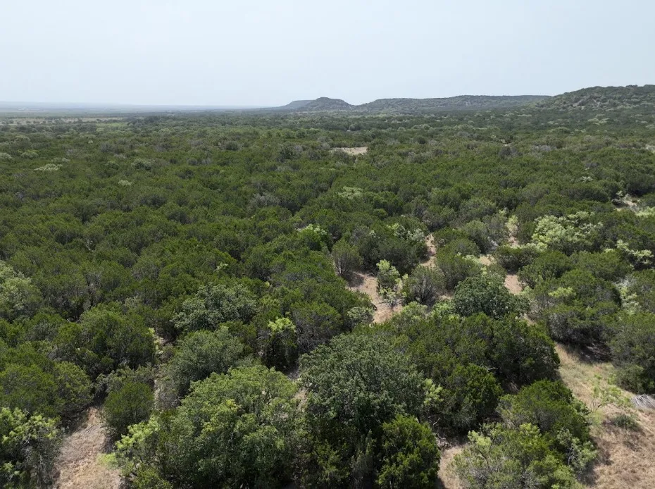 Ranch For Sale in Taylor County , 1093 Lemons Gap Road, Tuscola, Texas 79562, 0, 0, Garage spaces, 0 Sqft, built in 0, mls#21353089, Real Estate Agent in Tuscola, Homes For Sale in Taylor county, Homes For Sale in Tuscola, Realtor in Tuscola Texas, Real Estate Brokerage Independent Realty Texas, Luminita Cordes Realtor