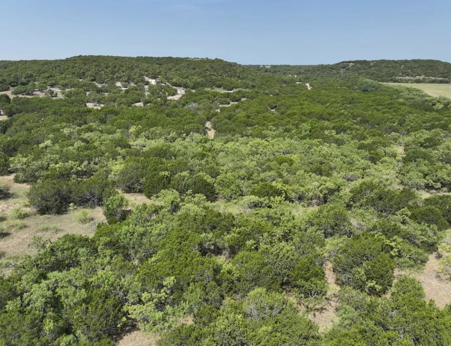 Ranch For Sale in Taylor County , 1093 Lemons Gap Road, Tuscola, Texas 79562, 0, 0, Garage spaces, 0 Sqft, built in 0, mls#21353089, Real Estate Agent in Tuscola, Homes For Sale in Taylor county, Homes For Sale in Tuscola, Realtor in Tuscola Texas, Real Estate Brokerage Independent Realty Texas, Luminita Cordes Realtor