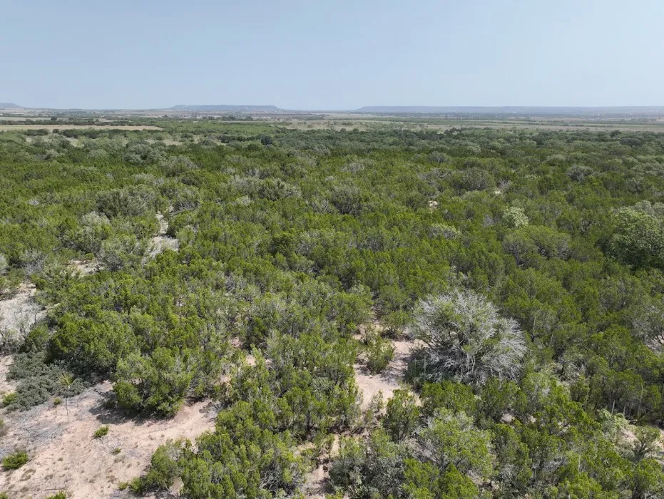 Ranch For Sale in Taylor County , 1093 Lemons Gap Road, Tuscola, Texas 79562, 0, 0, Garage spaces, 0 Sqft, built in 0, mls#21353089, Real Estate Agent in Tuscola, Homes For Sale in Taylor county, Homes For Sale in Tuscola, Realtor in Tuscola Texas, Real Estate Brokerage Independent Realty Texas, Luminita Cordes Realtor