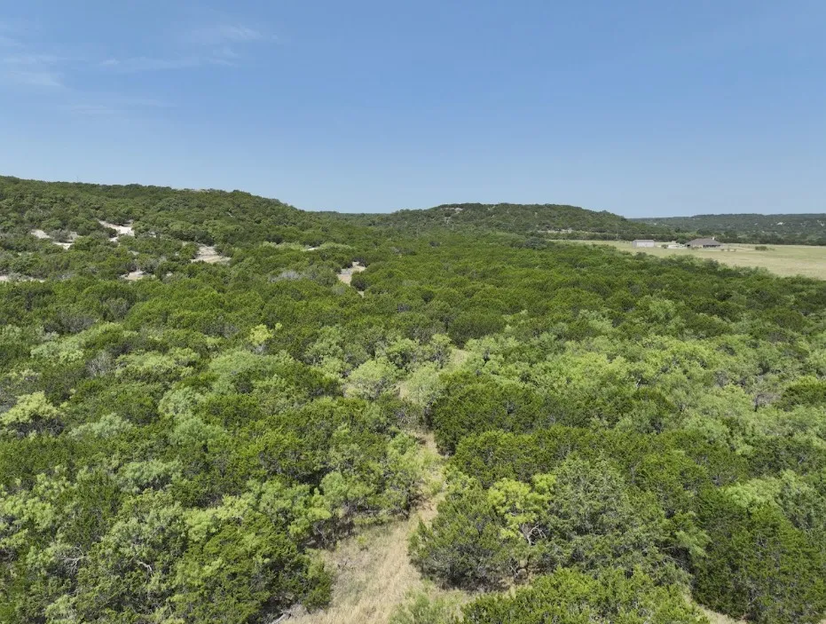 Ranch For Sale in Taylor County , 1093 Lemons Gap Road, Tuscola, Texas 79562, 0, 0, Garage spaces, 0 Sqft, built in 0, mls#21353089, Real Estate Agent in Tuscola, Homes For Sale in Taylor county, Homes For Sale in Tuscola, Realtor in Tuscola Texas, Real Estate Brokerage Independent Realty Texas, Luminita Cordes Realtor