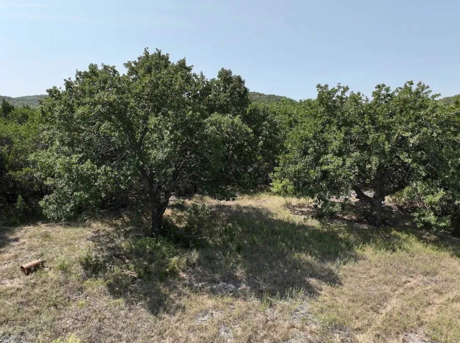 Ranch For Sale in Taylor County , 1093 Lemons Gap Road, Tuscola, Texas 79562, 0, 0, Garage spaces, 0 Sqft, built in 0, mls#21353089, Real Estate Agent in Tuscola, Homes For Sale in Taylor county, Homes For Sale in Tuscola, Realtor in Tuscola Texas, Real Estate Brokerage Independent Realty Texas, Luminita Cordes Realtor