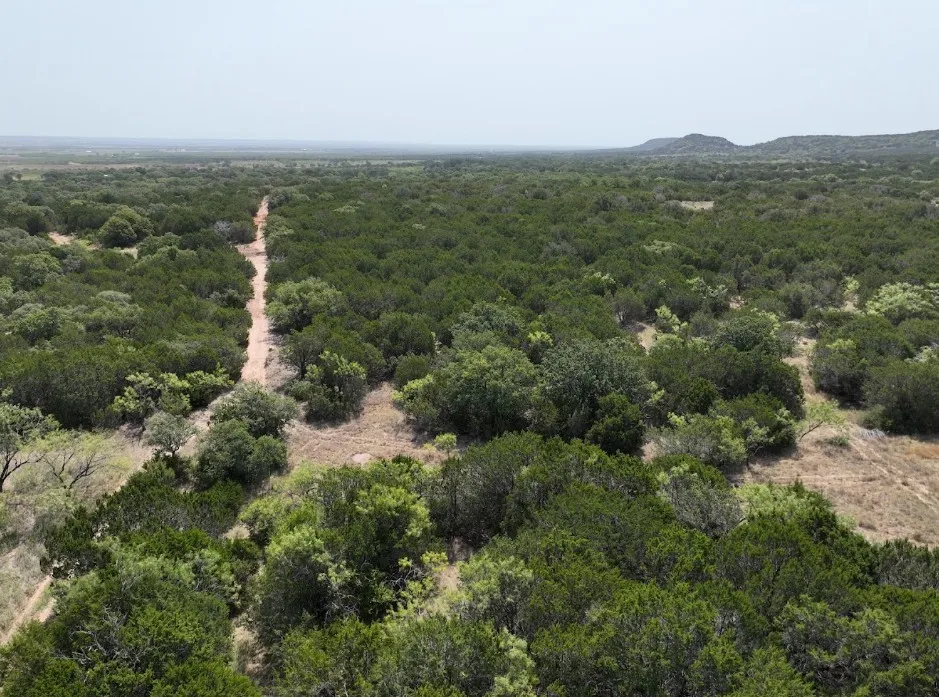Ranch For Sale in Taylor County , 1093 Lemons Gap Road, Tuscola, Texas 79562, 0, 0, Garage spaces, 0 Sqft, built in 0, mls#21353089, Real Estate Agent in Tuscola, Homes For Sale in Taylor county, Homes For Sale in Tuscola, Realtor in Tuscola Texas, Real Estate Brokerage Independent Realty Texas, Luminita Cordes Realtor
