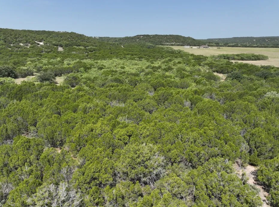 Ranch For Sale in Taylor County , 1093 Lemons Gap Road, Tuscola, Texas 79562, 0, 0, Garage spaces, 0 Sqft, built in 0, mls#21353089, Real Estate Agent in Tuscola, Homes For Sale in Taylor county, Homes For Sale in Tuscola, Realtor in Tuscola Texas, Real Estate Brokerage Independent Realty Texas, Luminita Cordes Realtor