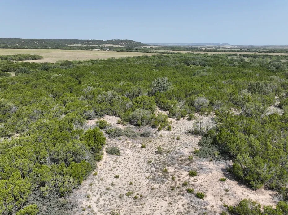Ranch For Sale in Taylor County , 1093 Lemons Gap Road, Tuscola, Texas 79562, 0, 0, Garage spaces, 0 Sqft, built in 0, mls#21353089, Real Estate Agent in Tuscola, Homes For Sale in Taylor county, Homes For Sale in Tuscola, Realtor in Tuscola Texas, Real Estate Brokerage Independent Realty Texas, Luminita Cordes Realtor