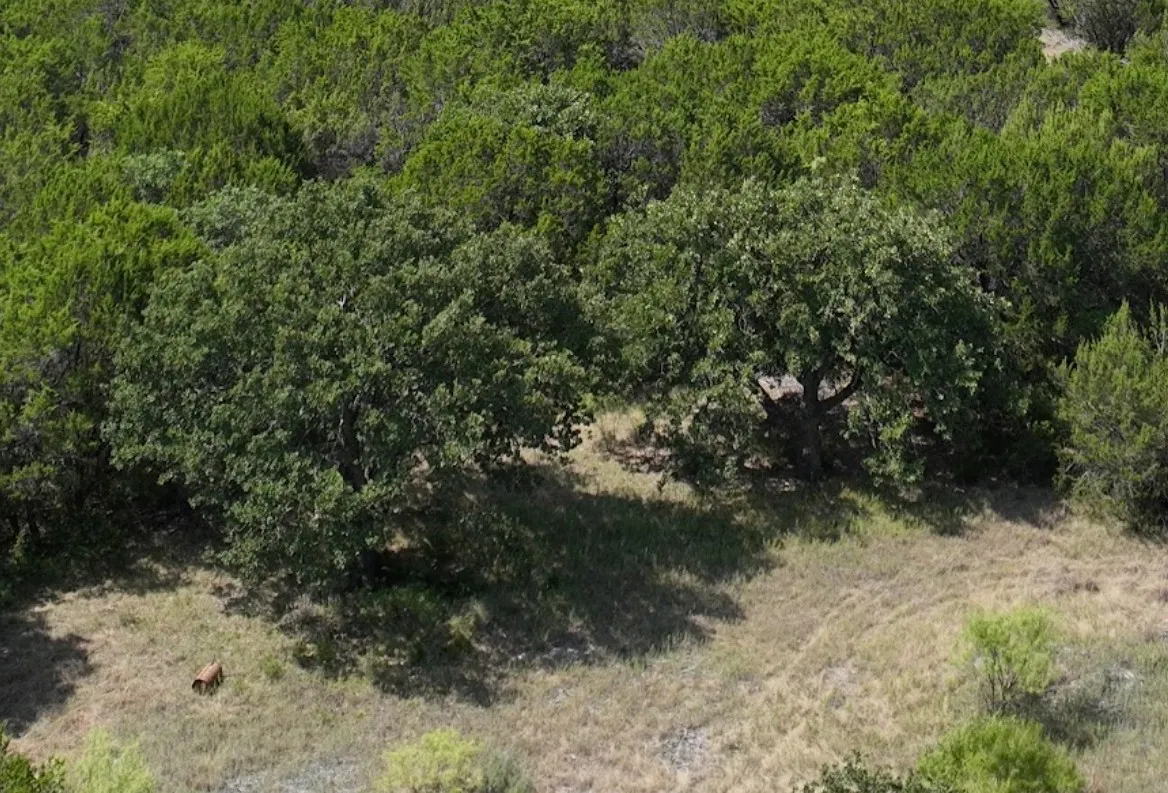 Ranch For Sale in Taylor County , 1093 Lemons Gap Road, Tuscola, Texas 79562, 0, 0, Garage spaces, 0 Sqft, built in 0, mls#21353089, Real Estate Agent in Tuscola, Homes For Sale in Taylor county, Homes For Sale in Tuscola, Realtor in Tuscola Texas, Real Estate Brokerage Independent Realty Texas, Luminita Cordes Realtor