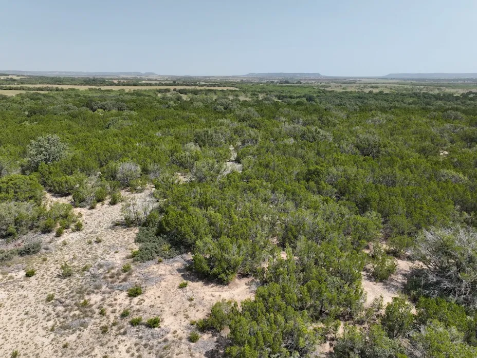 Ranch For Sale in Taylor County , 1093 Lemons Gap Road, Tuscola, Texas 79562, 0, 0, Garage spaces, 0 Sqft, built in 0, mls#21353089, Real Estate Agent in Tuscola, Homes For Sale in Taylor county, Homes For Sale in Tuscola, Realtor in Tuscola Texas, Real Estate Brokerage Independent Realty Texas, Luminita Cordes Realtor