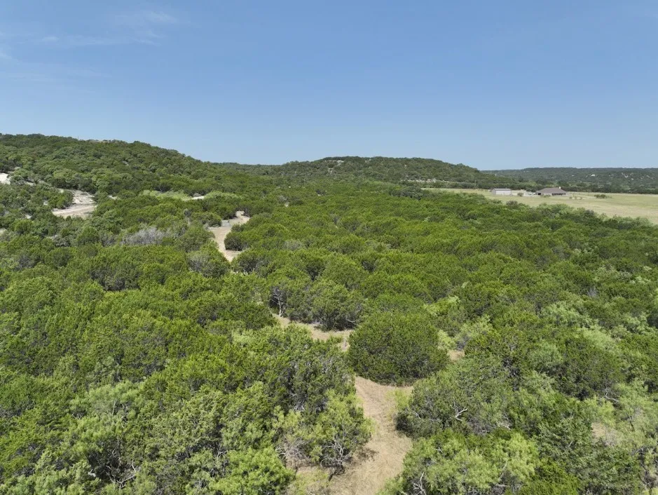 Ranch For Sale in Taylor County , 1093 Lemons Gap Road, Tuscola, Texas 79562, 0, 0, Garage spaces, 0 Sqft, built in 0, mls#21353089, Real Estate Agent in Tuscola, Homes For Sale in Taylor county, Homes For Sale in Tuscola, Realtor in Tuscola Texas, Real Estate Brokerage Independent Realty Texas, Luminita Cordes Realtor