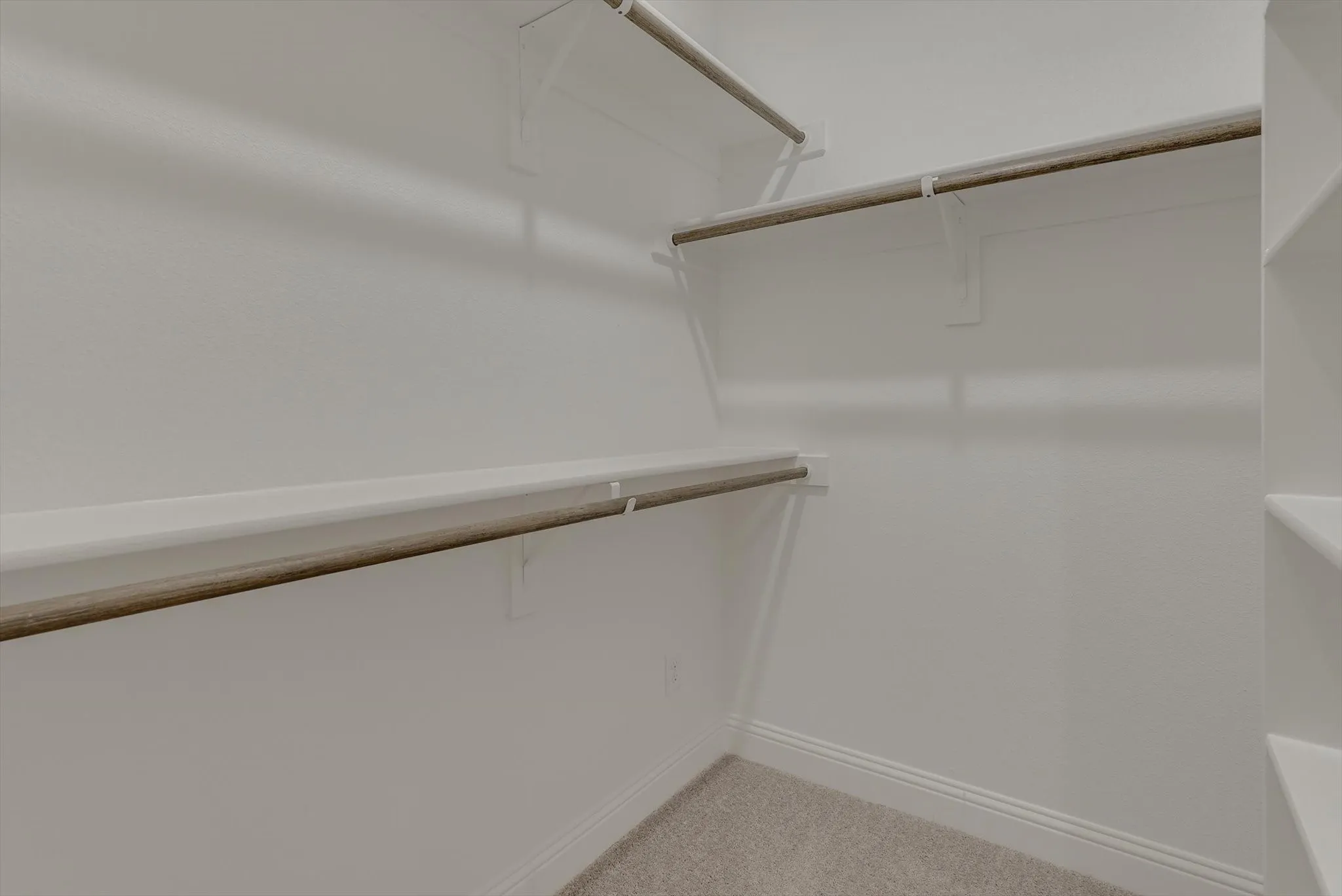White walls, built-in shelving, hanging rods, and carpet flooring