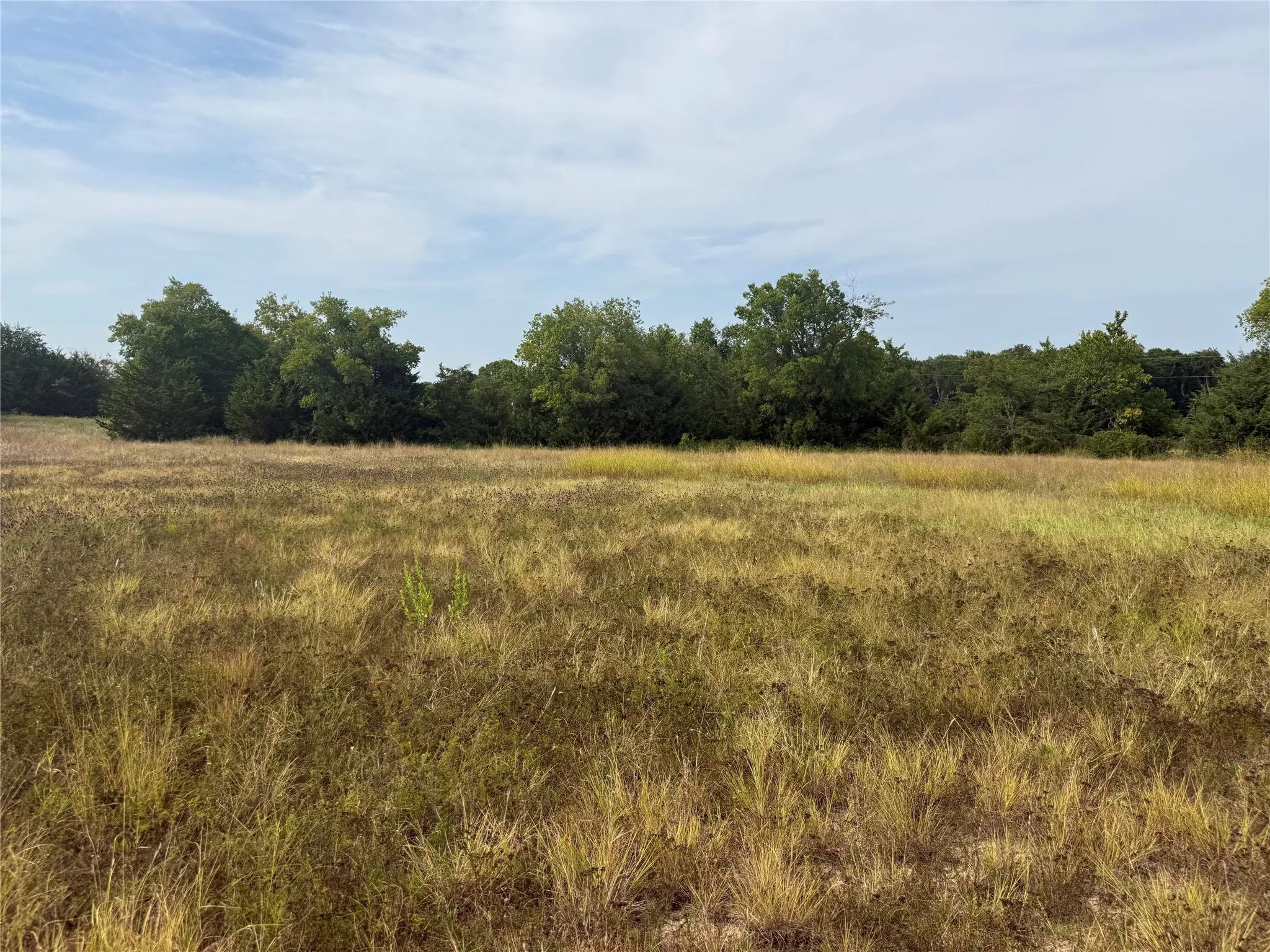Unimproved Land For Sale in Grayson County , TBD Rose Hill Road, Whitewright, Texas 75491, 0, 0, Garage spaces, 0 Sqft, built in 0, mls#21353204, Real Estate Agent in Whitewright, Homes For Sale in Grayson county, Homes For Sale in Whitewright, Realtor in Whitewright Texas, Real Estate Brokerage Independent Realty Texas, Luminita Cordes Realtor
