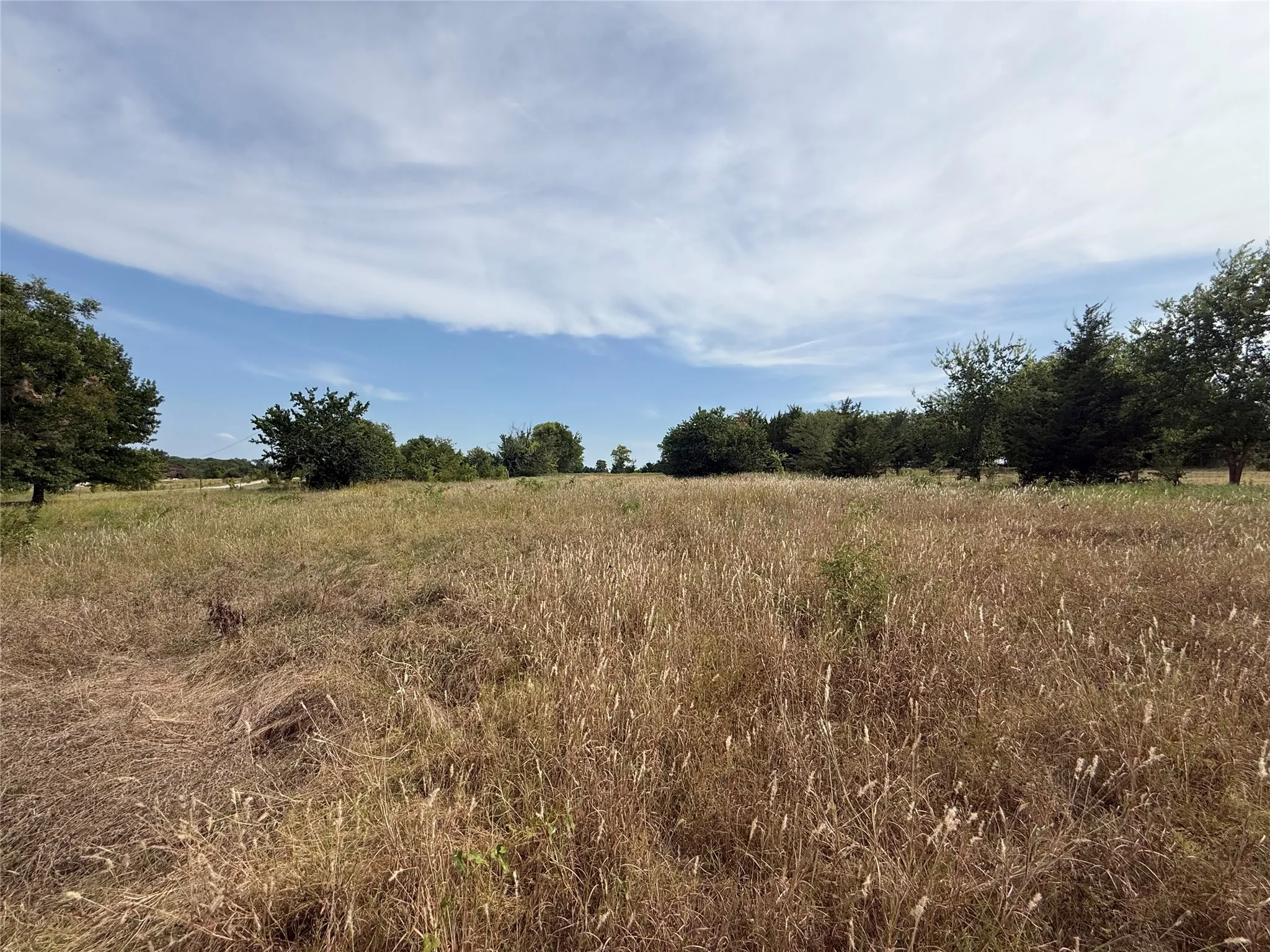Unimproved Land For Sale in Grayson County , TBD Rose Hill Road, Whitewright, Texas 75491, 0, 0, Garage spaces, 0 Sqft, built in 0, mls#21353204, Real Estate Agent in Whitewright, Homes For Sale in Grayson county, Homes For Sale in Whitewright, Realtor in Whitewright Texas, Real Estate Brokerage Independent Realty Texas, Luminita Cordes Realtor