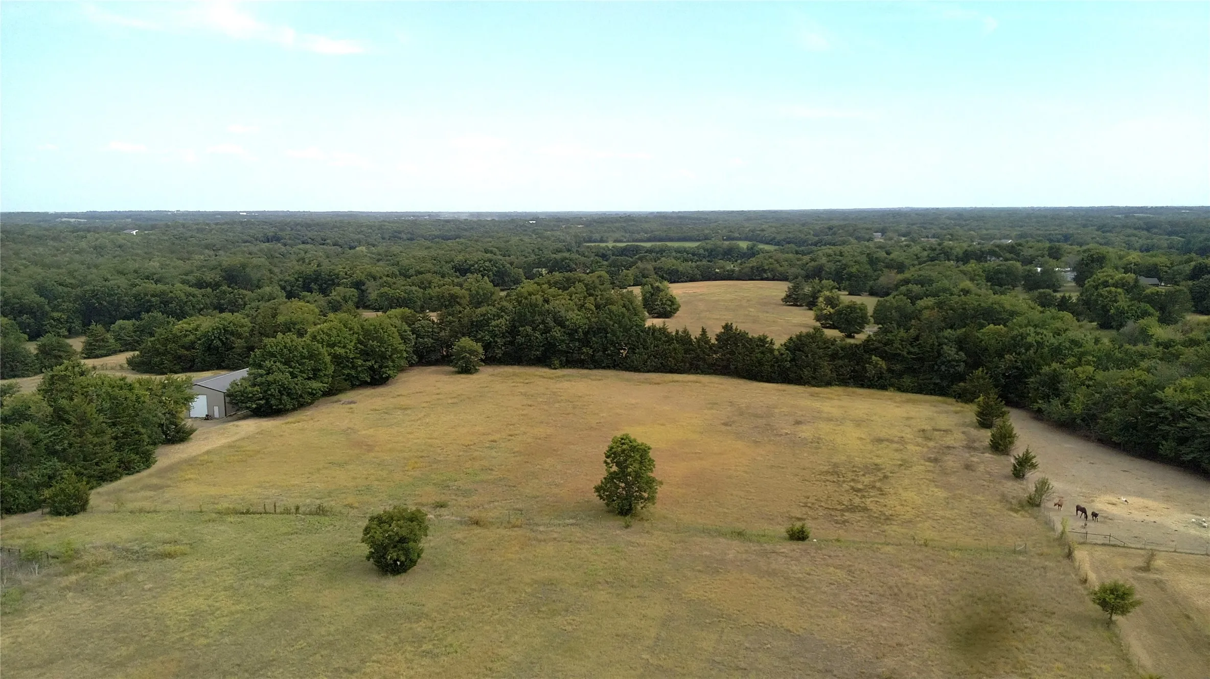 Unimproved Land For Sale in Grayson County , TBD Rose Hill Road, Whitewright, Texas 75491, 0, 0, Garage spaces, 0 Sqft, built in 0, mls#21353204, Real Estate Agent in Whitewright, Homes For Sale in Grayson county, Homes For Sale in Whitewright, Realtor in Whitewright Texas, Real Estate Brokerage Independent Realty Texas, Luminita Cordes Realtor