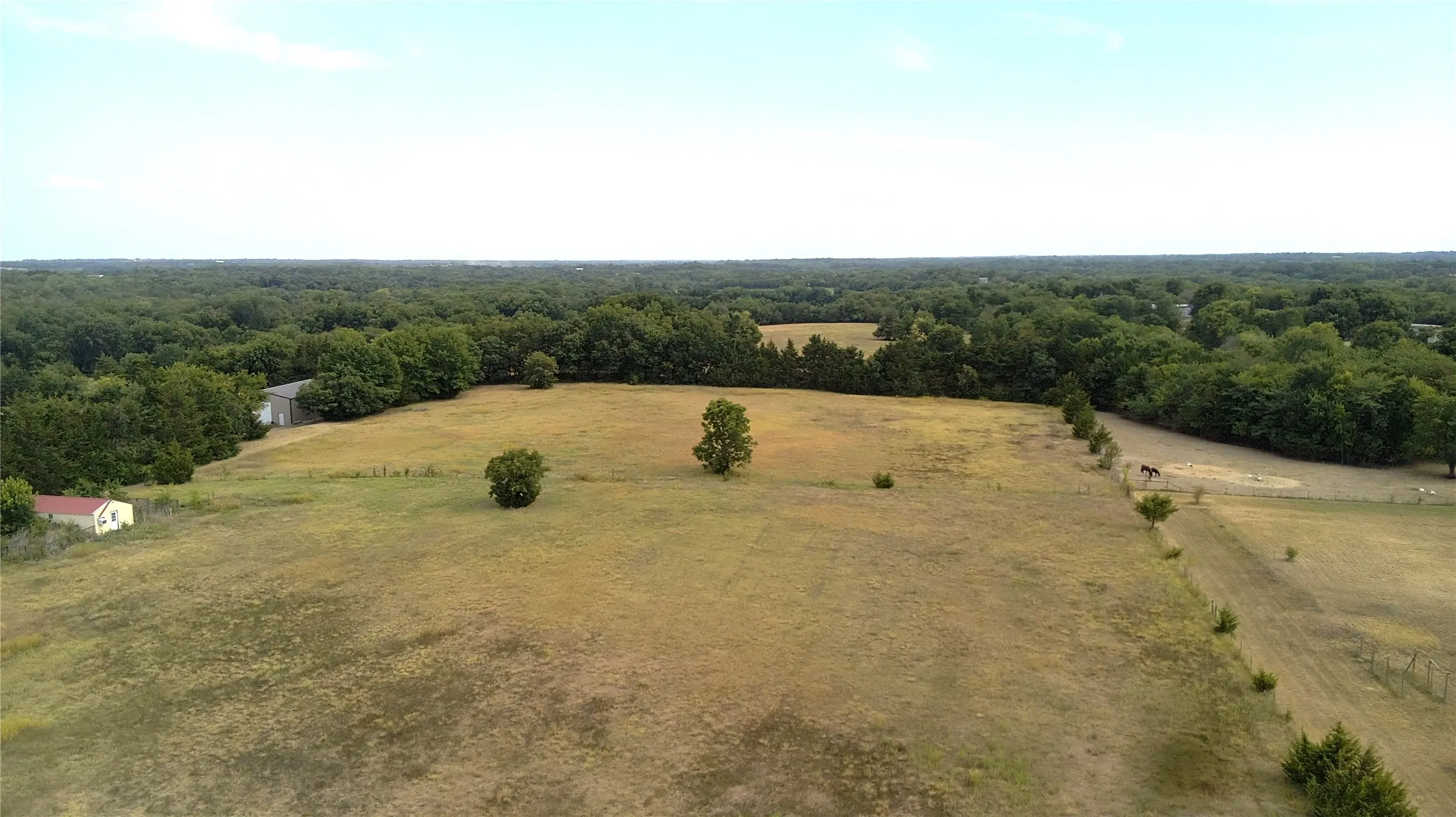 Unimproved Land For Sale in Grayson County , TBD Rose Hill Road, Whitewright, Texas 75491, 0, 0, Garage spaces, 0 Sqft, built in 0, mls#21353204, Real Estate Agent in Whitewright, Homes For Sale in Grayson county, Homes For Sale in Whitewright, Realtor in Whitewright Texas, Real Estate Brokerage Independent Realty Texas, Luminita Cordes Realtor