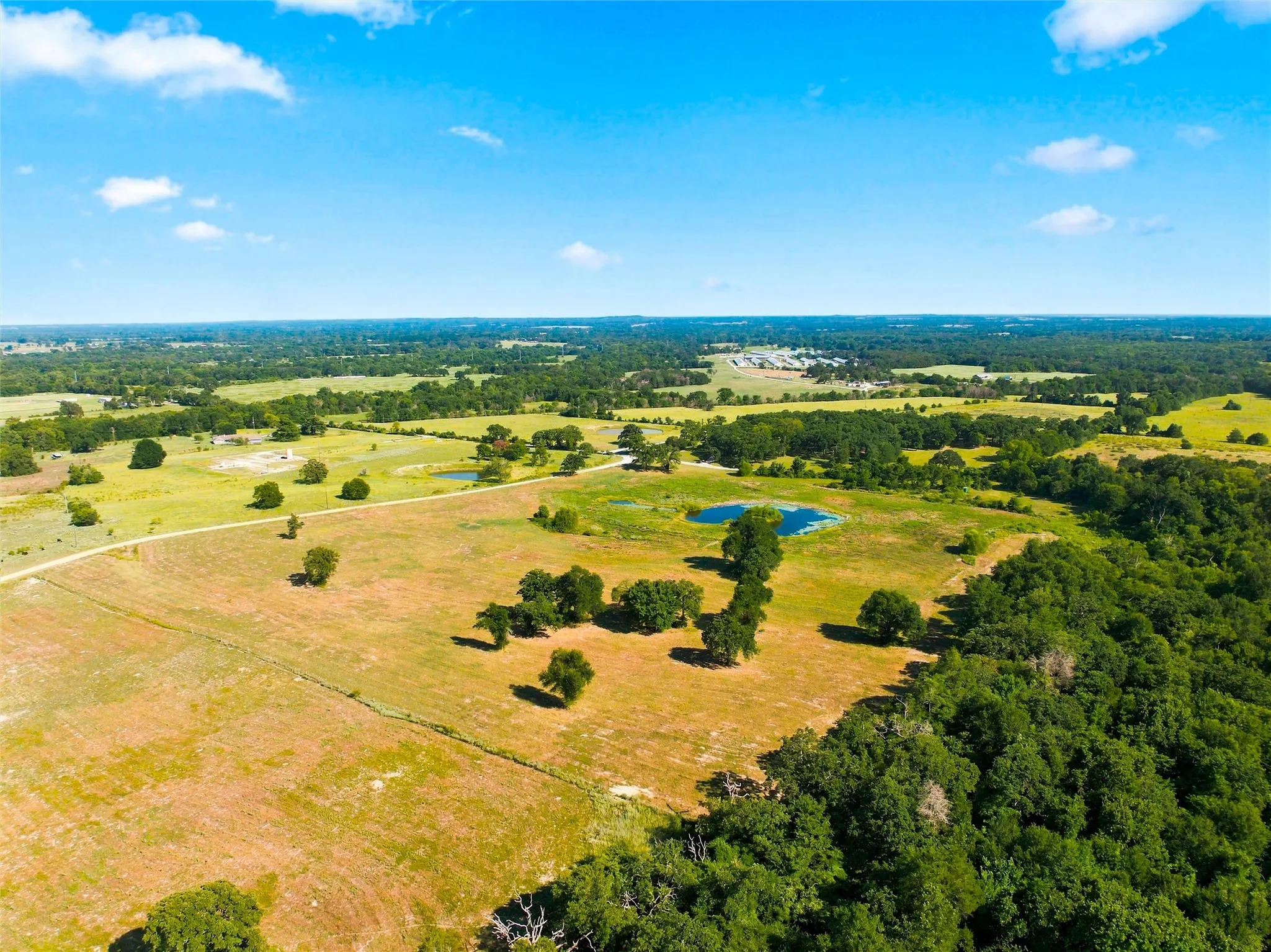 Expansive landscape featuring open fields, scattered mature trees, and natural water bodies