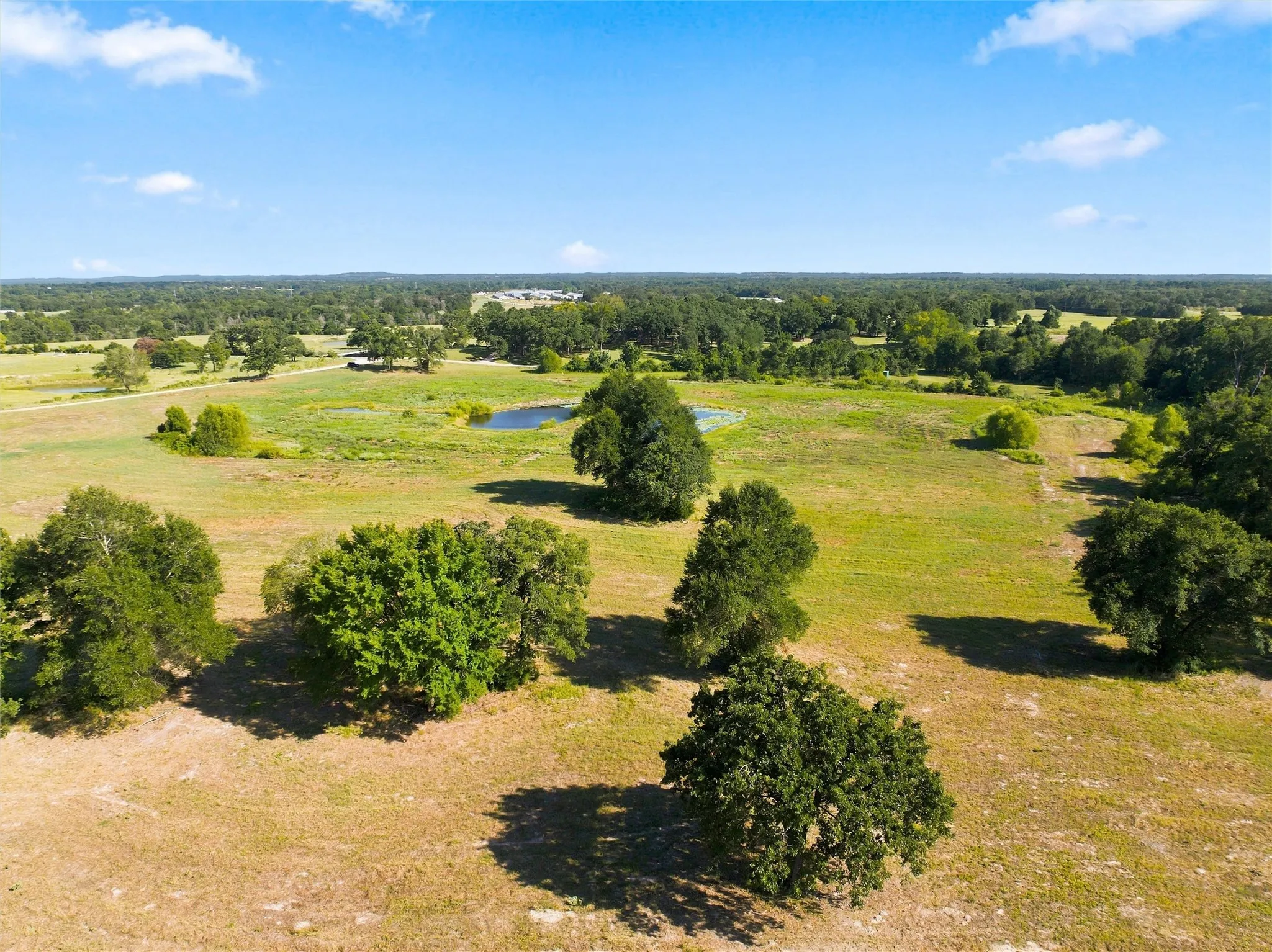 Expansive open fields with scattered mature trees and a natural pond