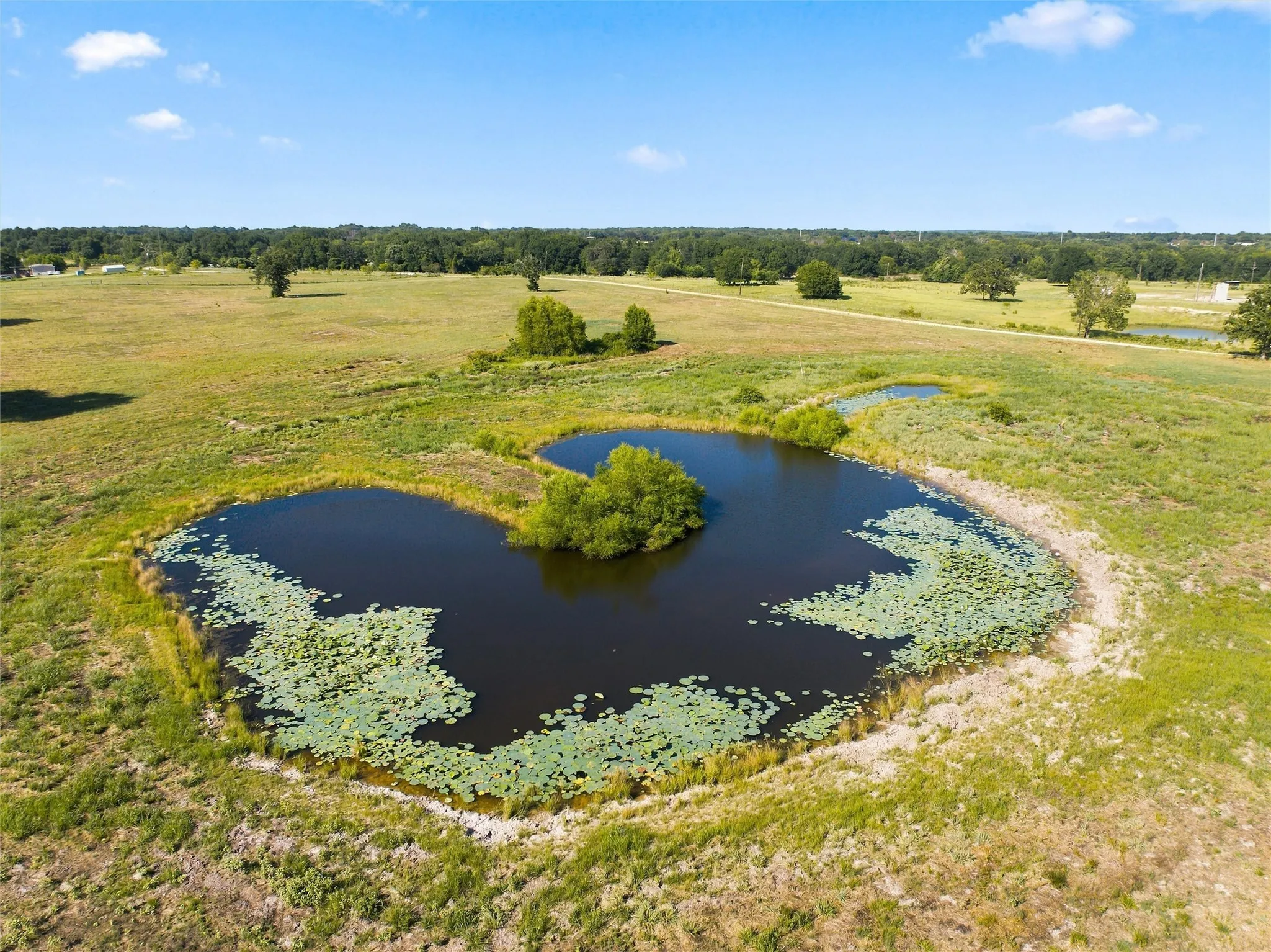Expansive natural landscape featuring multiple ponds, a small island with established trees, and open grassy areas