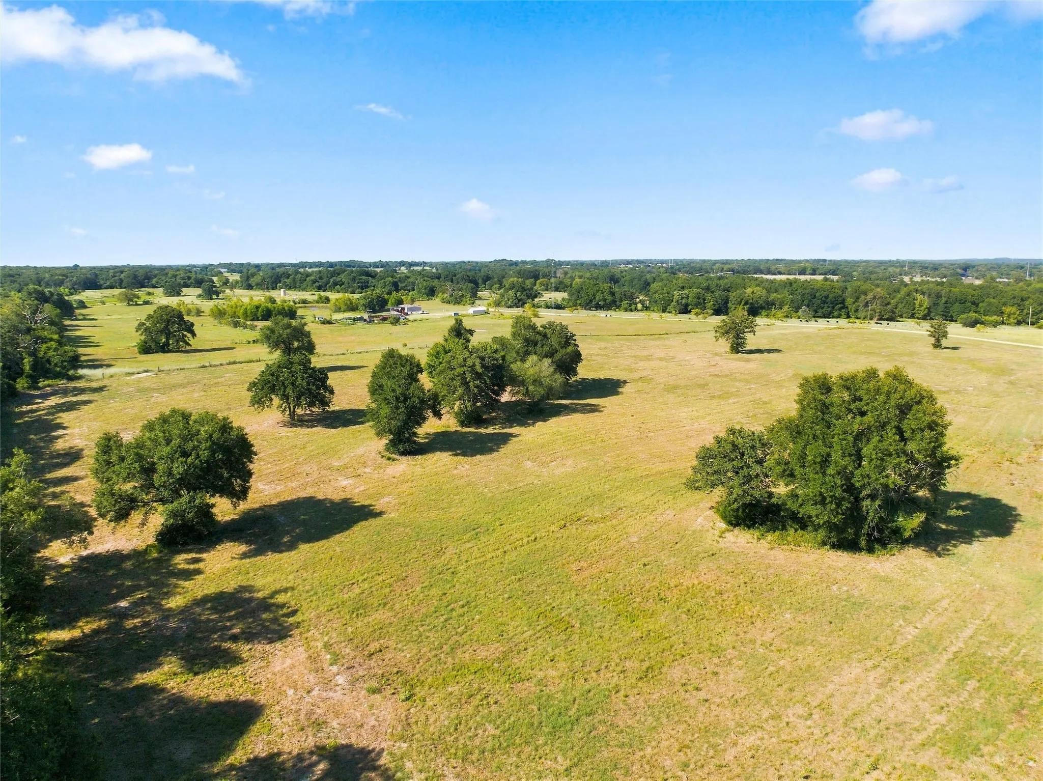 Expansive open land with scattered mature trees and distant wooded areas