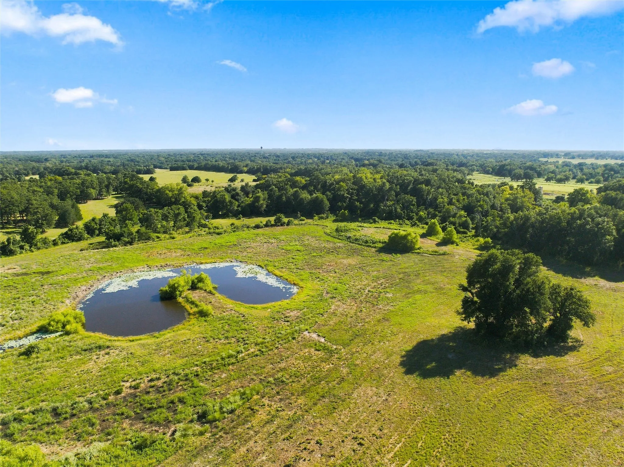 Expansive acreage featuring two ponds, open pastures, and mature trees
