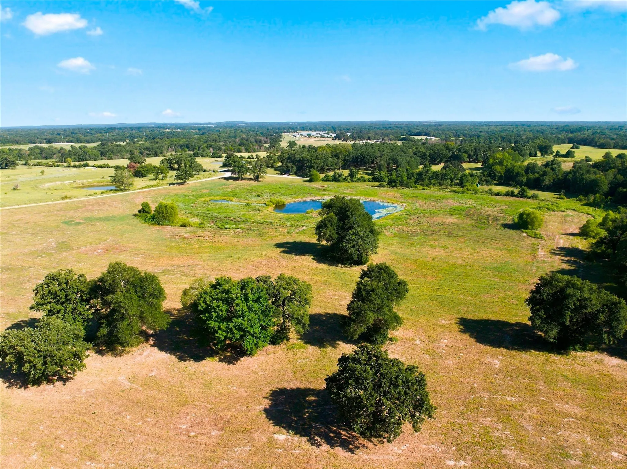 Expansive open fields with scattered mature trees, featuring a serene pond and distant wooded areas