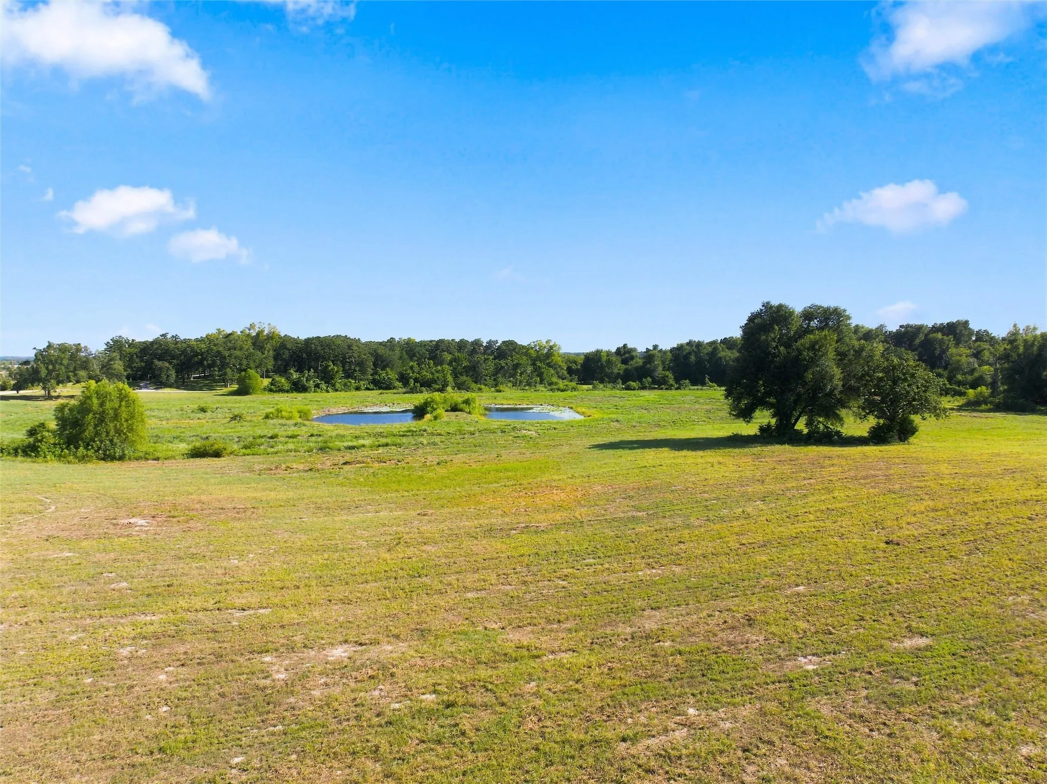 Unimproved Land For Sale in Freestone County , TBD Private Road 607, Teague, Texas 75860, 0, 0, Garage spaces, 0 Sqft, built in 0, Price $249,500, mls#21353227, Real Estate Agent in Teague, Homes For Sale in Freestone county, Homes For Sale in Teague, Realtor in Teague Texas, Real Estate Brokerage Independent Realty Texas, Luminita Cordes Realtor