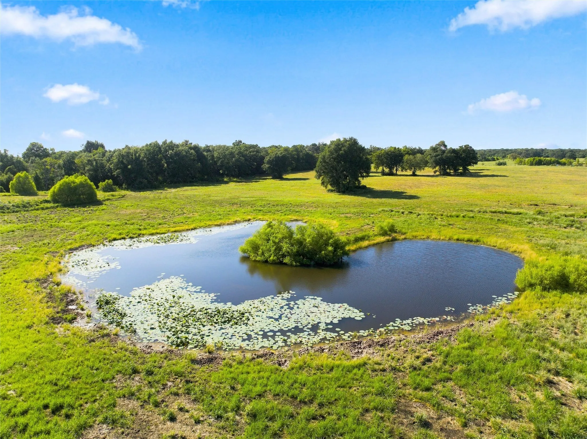 Unimproved Land For Sale in Freestone County , TBD Private Road 607, Teague, Texas 75860, 0, 0, Garage spaces, 0 Sqft, built in 0, Price $249,500, mls#21353227, Real Estate Agent in Teague, Homes For Sale in Freestone county, Homes For Sale in Teague, Realtor in Teague Texas, Real Estate Brokerage Independent Realty Texas, Luminita Cordes Realtor